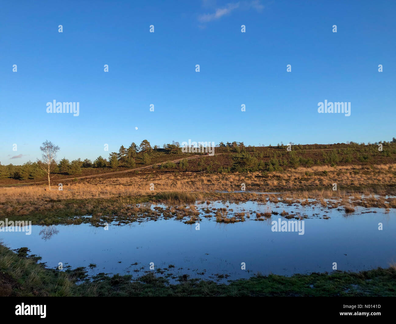 Regno Unito Meteo: Sunny in Elstead. Hankley comune, Elstead. 27 dicembre 2020. Clima freddo ma soleggiato dopo Storm Bella ieri sera. Sole sopra Hankley comune a Elstead in Surrey. Credit: Jamesjagger/StockimoNews/Alamy Live News Foto Stock