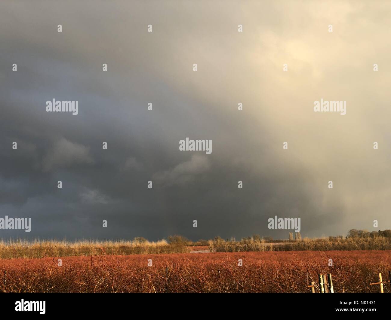 Regno Unito Meteo: Tempesta nuvole su Godalming. Tuesley Farm, Godalming. 03 gennaio 2021. Un pomeriggio irrisolto per le contee di casa con docce di verricello. Tempesta nuvole su Godalming in Surrey. Credit: Jamesjagger/StockimoNews/Alamy Live News Foto Stock