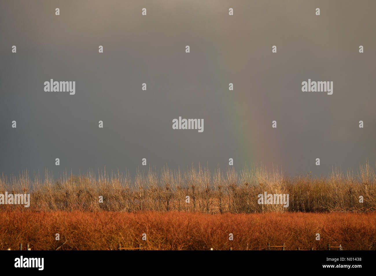 Regno Unito Meteo: Tempesta nuvole su Godalming. Tuesley Farm, Godalming. 03 gennaio 2021. Un pomeriggio irrisolto per le contee di casa con docce di verricello. Un arcobaleno su Godalming in Surrey. Credit: Jamesjagger/StockimoNews/Alamy Live News Foto Stock