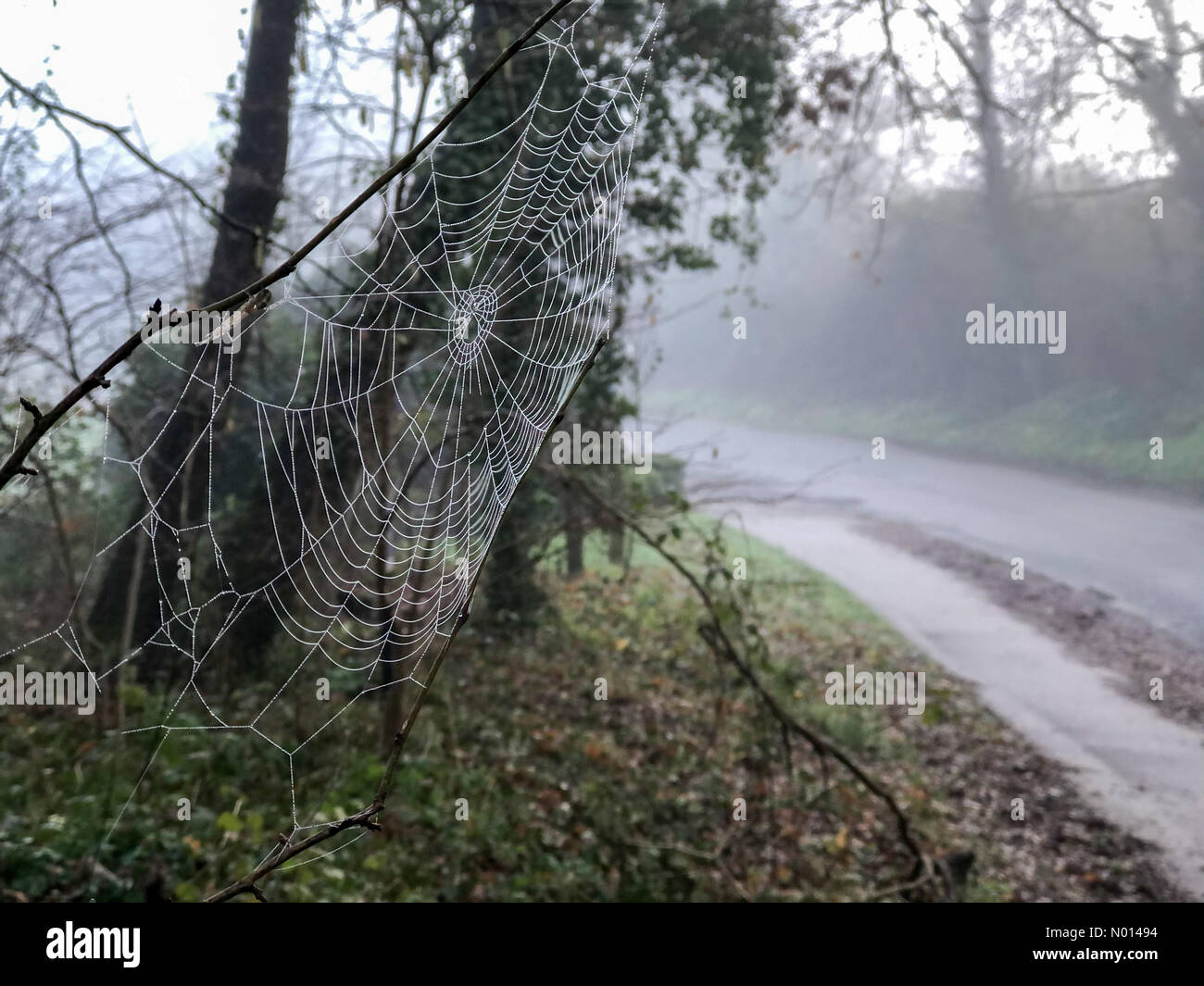 Godalming, Surrey. 6 Feb 2021. Regno Unito Meteo: Nebbia in Godalming. Station Lane, Godalming. 06 febbraio 2021. Una notte fredda attraverso le contee di casa ieri notte. Nebbia di radiazione in Godalming in Surrey. Credit: Jamesjagger/StockimoNews/Alamy Live News Foto Stock