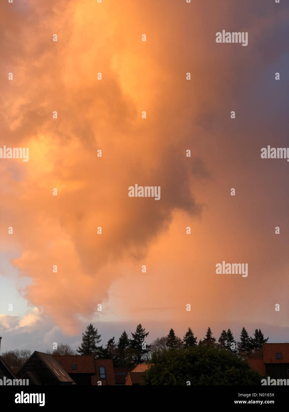 Tempo UK: Tramonto su Godalming. Sycamore Avenue, Godalming. 6 dicembre 2021. Nuvole di cumulonimbus dal bordo principale di Storm barra, visto al tramonto su Godalming in Surrey. Credit: Jamesjagger/StockimoNews/Alamy Live News Foto Stock