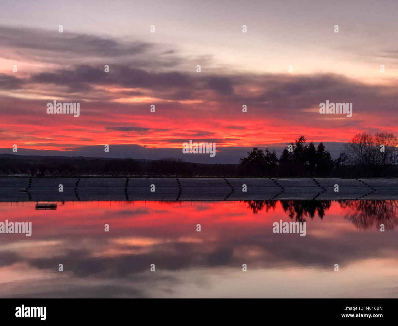 Tempo UK: Tramonto su Godalming. Tuesley Farm, Godalming. 02nd febbraio 2022. Una bella fine della giornata per le contee domestiche. Tramonto su Tuesley Farm a Godalming in Surrey. Credit: Jamesjagger/StockimoNews/Alamy Live News Foto Stock