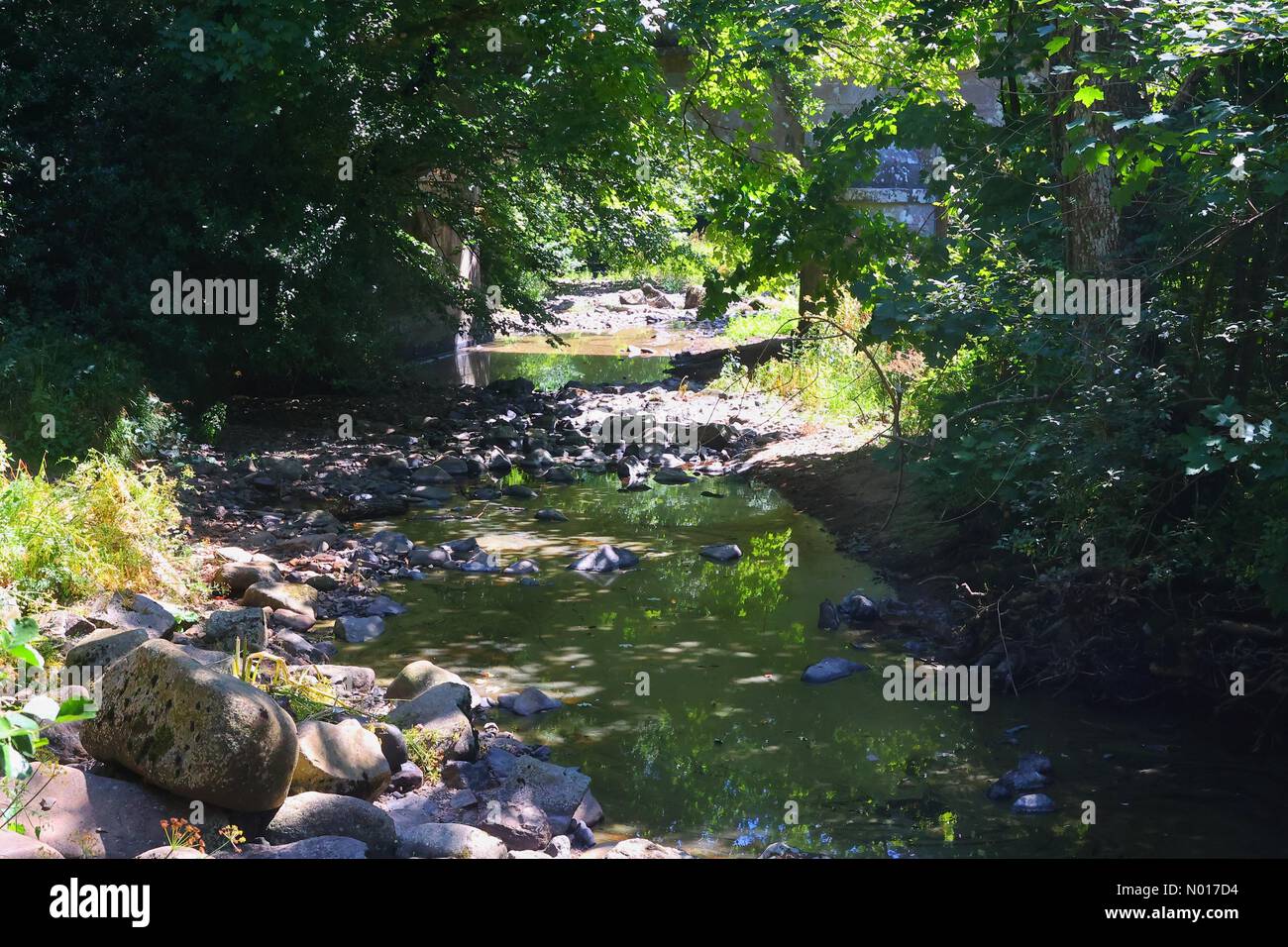 Segni di siccità: Parzialmente asciugato il fiume Teign a Steps Bridge vicino a Dunsford, Devon, Regno Unito. 9 Agosto 2022. Credit nidpor/ Alamy Live News Credit: Nidpor/StockimoNews/Alamy Live News Foto Stock