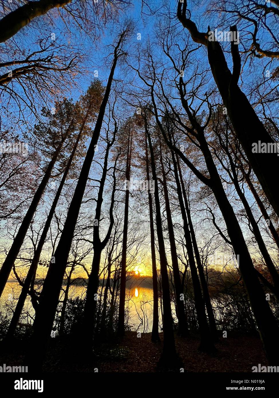 Tempo nel Regno Unito: Tramonto a Rivington, vicino Chorley. Nel tardo pomeriggio al bacino idrico di Rivington dopo una giornata invernale soleggiata Foto Stock