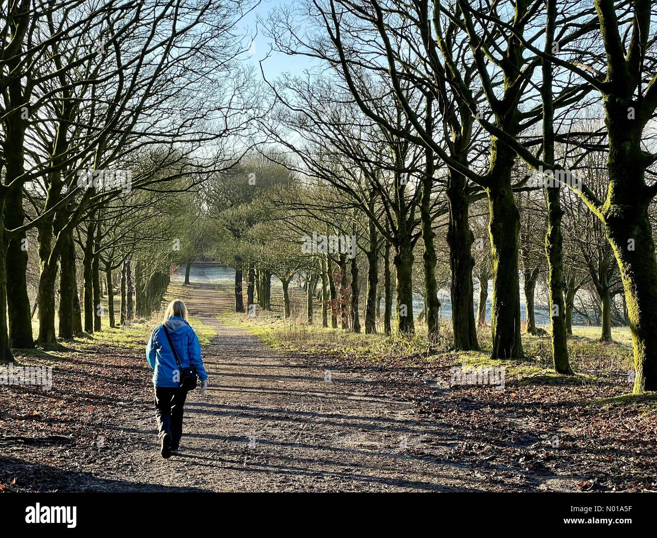 Tempo nel Regno Unito: Sole e gelo a Rivington. Donne che camminano lungo il viale alberato a Rivington vicino a Chorley nel Lancashire Foto Stock