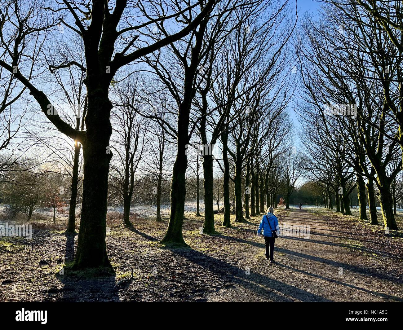 Tempo nel Regno Unito: Sole e gelo a Rivington. Donne che camminano lungo il viale alberato a Rivington vicino a Chorley nel Lancashire Foto Stock
