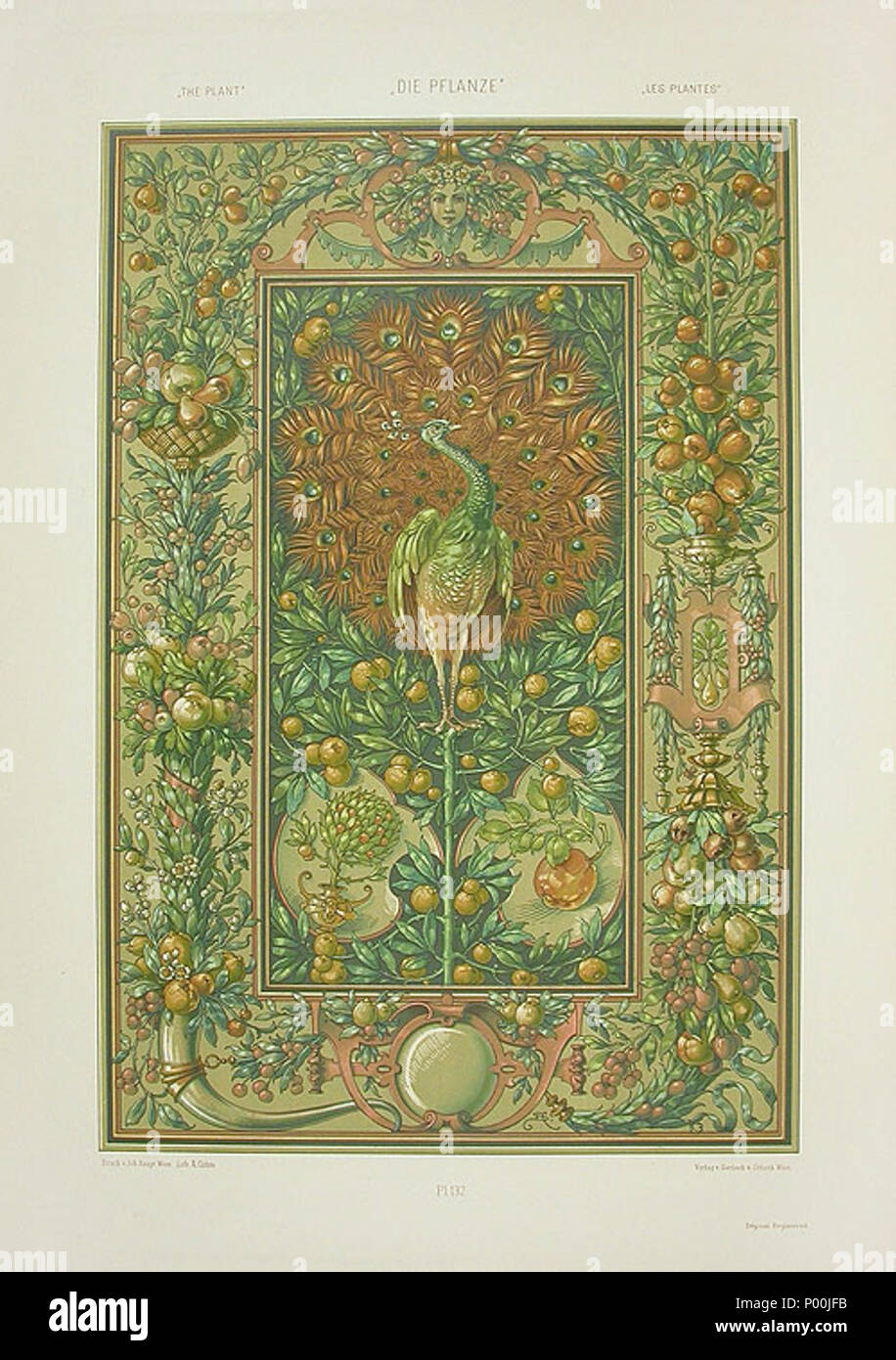 . Inglese: litografia da Anton Seder (1850-1916), Art Nouveau stampa 1890, titolo: Peacock, Cornucopia . 3 novembre 2008, 11:27:09. Anton Seder 370 Anton Seder Peacock Cornucopia Foto Stock