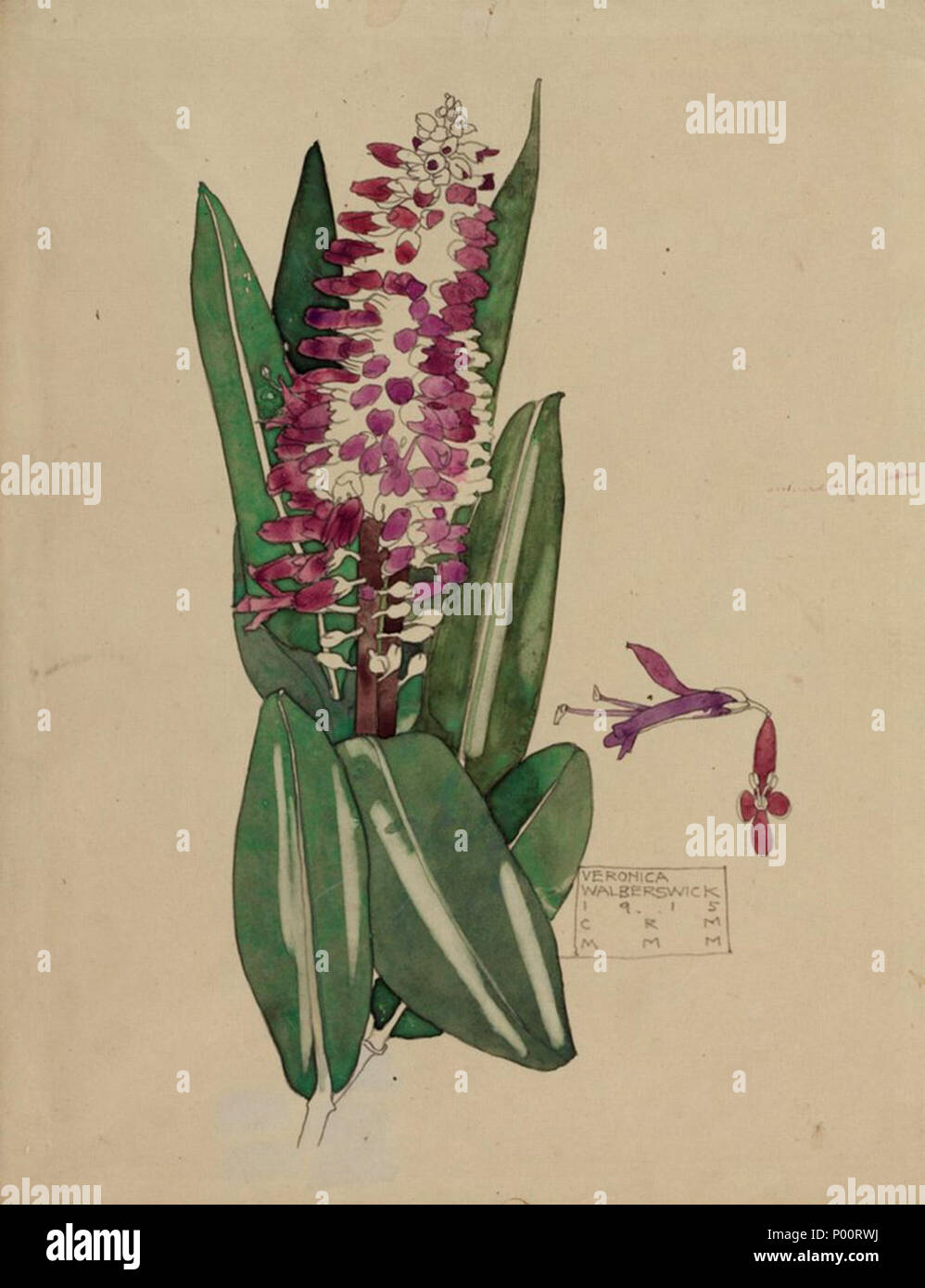 . Inglese: Veronica. Walberswick. Charles & Margaret Mackintosh. 1915. . 1915. Charles Rennie Mackintosh (1868-1928) nomi alternativi Charles Rennie Mackintosh Descrizione British architetto, pittore, disegnatore e scultore Data di nascita e morte 7 Giugno 1868 10 dicembre 1928 Luogo di nascita e morte Glasgow Londra sede di lavoro Glasgow, London Authority control : Q220703 VIAF:?ISNI 74645185:?0000 0001 0916 5379 ULAN:?500022117 LCCN:?n79109001 NLA:?35320010 WorldCat Margaret MacDonald (1865-1933) nomi alternativi Margaret Macdonald Descrizione artista britannico Data di nascita Foto Stock . Inglese: Veronica. Walberswick. Charles & Margaret Mackintosh. 1915. . 1915. Charles Rennie Mackintosh (1868-1928) nomi alternativi Charles Rennie Mackintosh Descrizione British architetto, pittore, disegnatore e scultore Data di nascita e morte 7 Giugno 1868 10 dicembre 1928 Luogo di nascita e morte Glasgow Londra sede di lavoro Glasgow, London Authority control : Q220703 VIAF:?ISNI 74645185:?0000 0001 0916 5379 ULAN:?500022117 LCCN:?n79109001 NLA:?35320010 WorldCat Margaret MacDonald (1865-1933) nomi alternativi Margaret Macdonald Descrizione artista britannico Data di nascita Foto Stock