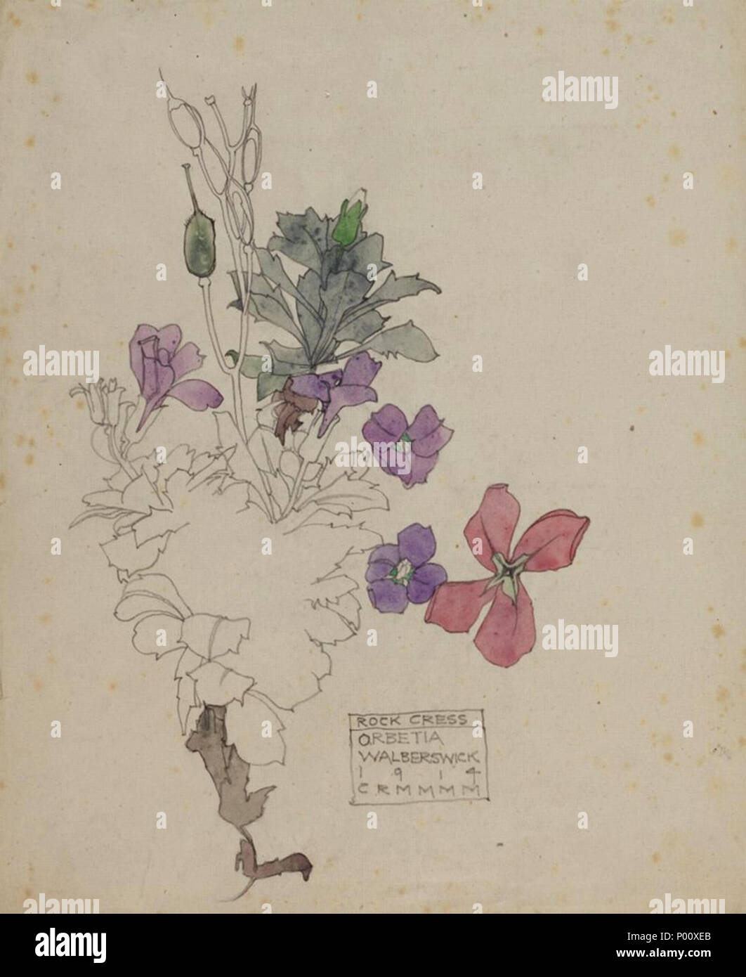 . Inglese: Rock crescione. Walberswick. Charles & Margaret Mackintosh. 1914. . 1914. Charles Rennie Mackintosh (1868-1928) nomi alternativi Charles Rennie Mackintosh Descrizione British architetto, pittore, disegnatore e scultore Data di nascita e morte 7 Giugno 1868 10 dicembre 1928 Luogo di nascita e morte Glasgow Londra sede di lavoro Glasgow, London Authority control : Q220703 VIAF:?ISNI 74645185:?0000 0001 0916 5379 ULAN:?500022117 LCCN:?n79109001 NLA:?35320010 WorldCat Margaret MacDonald (1865-1933) nomi alternativi Margaret Macdonald Descrizione artista britannico Data di bir Foto Stock . Inglese: Rock crescione. Walberswick. Charles & Margaret Mackintosh. 1914. . 1914. Charles Rennie Mackintosh (1868-1928) nomi alternativi Charles Rennie Mackintosh Descrizione British architetto, pittore, disegnatore e scultore Data di nascita e morte 7 Giugno 1868 10 dicembre 1928 Luogo di nascita e morte Glasgow Londra sede di lavoro Glasgow, London Authority control : Q220703 VIAF:?ISNI 74645185:?0000 0001 0916 5379 ULAN:?500022117 LCCN:?n79109001 NLA:?35320010 WorldCat Margaret MacDonald (1865-1933) nomi alternativi Margaret Macdonald Descrizione artista britannico Data di bir Foto Stock