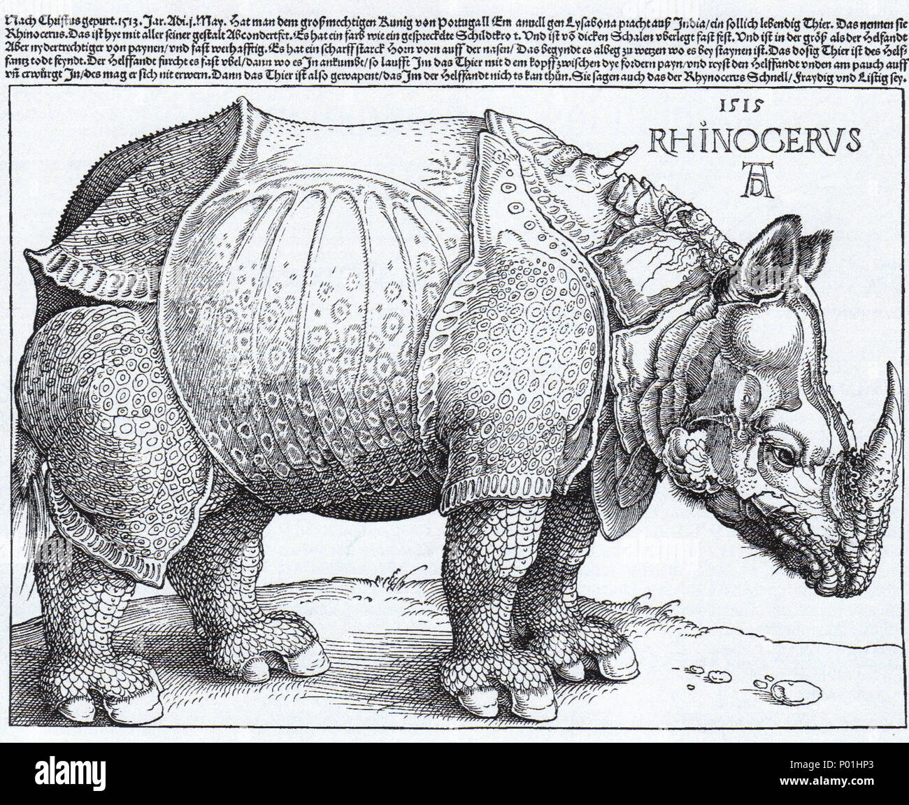 8 Rhinocerus xilografia (1515) Albrecht Dürer Foto Stock
