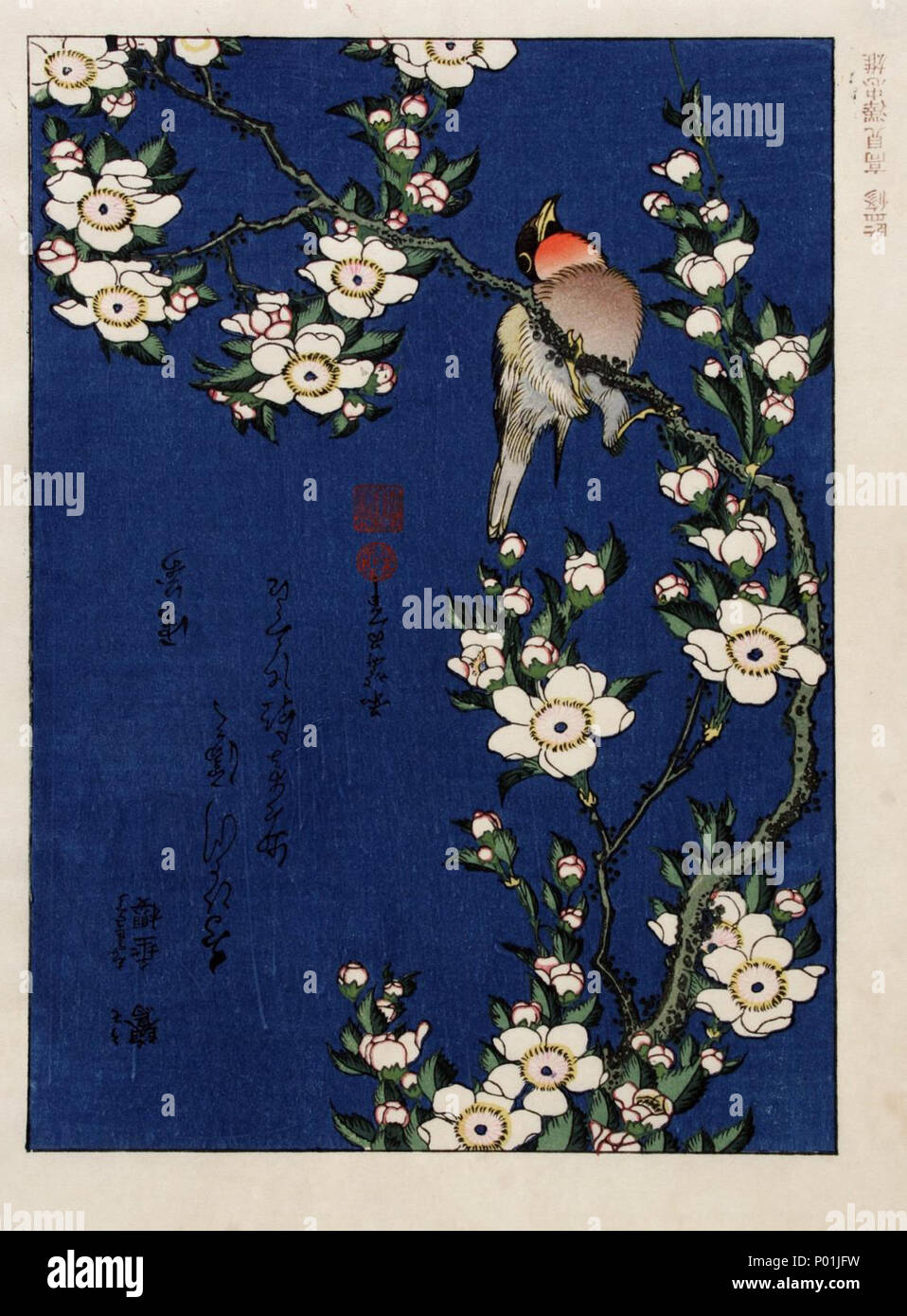 Inglese: Katsushika Hokusai (1760-1849), Robin su un ramo di fiori di  ciliegio. Collezione di stampe