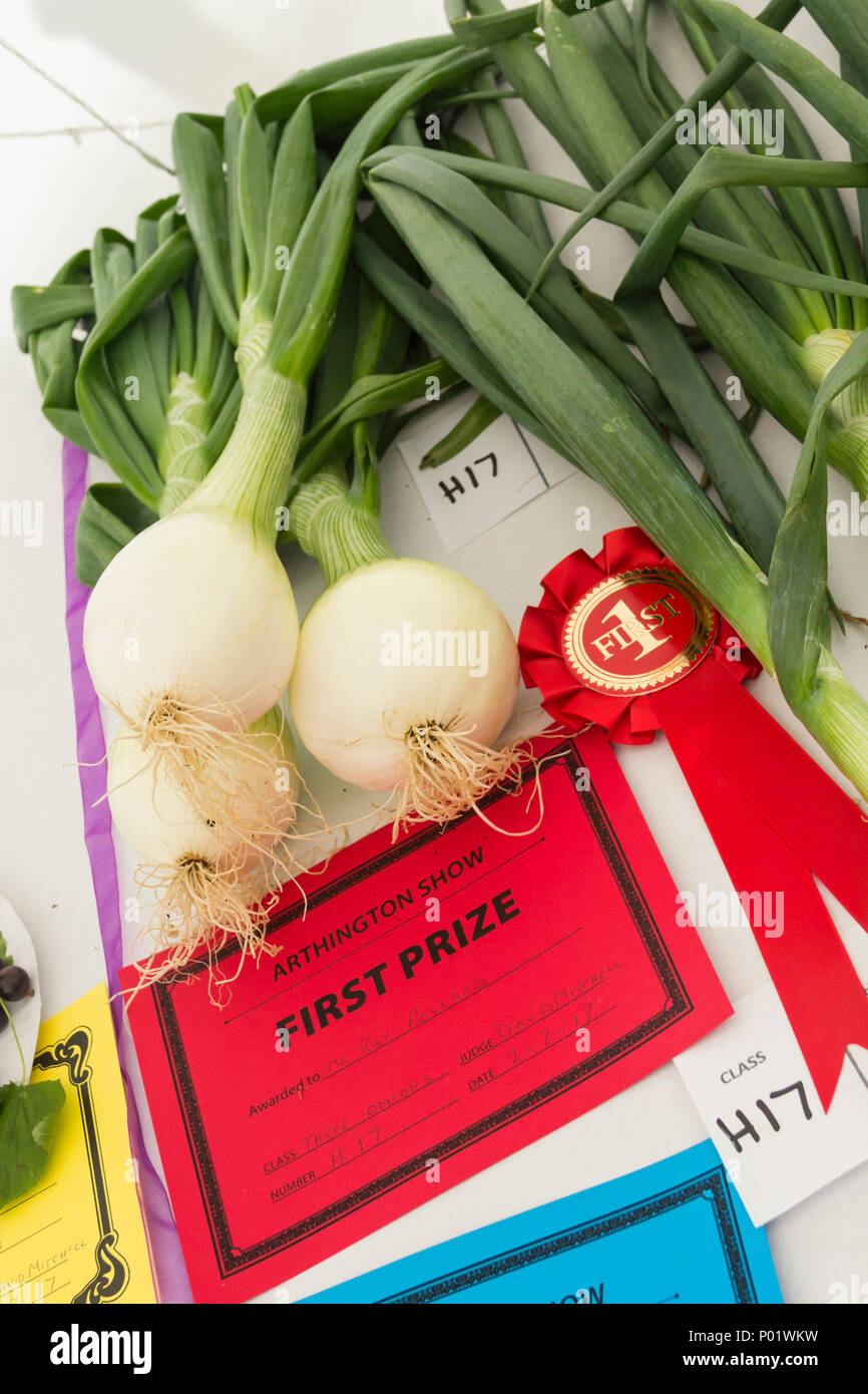 Tre cipolle classe vincitrice del concorso dell'orticoltura di frutta e verdura la sezione delle arti e dei mestieri tenda a The Arthington show 2017 Foto Stock