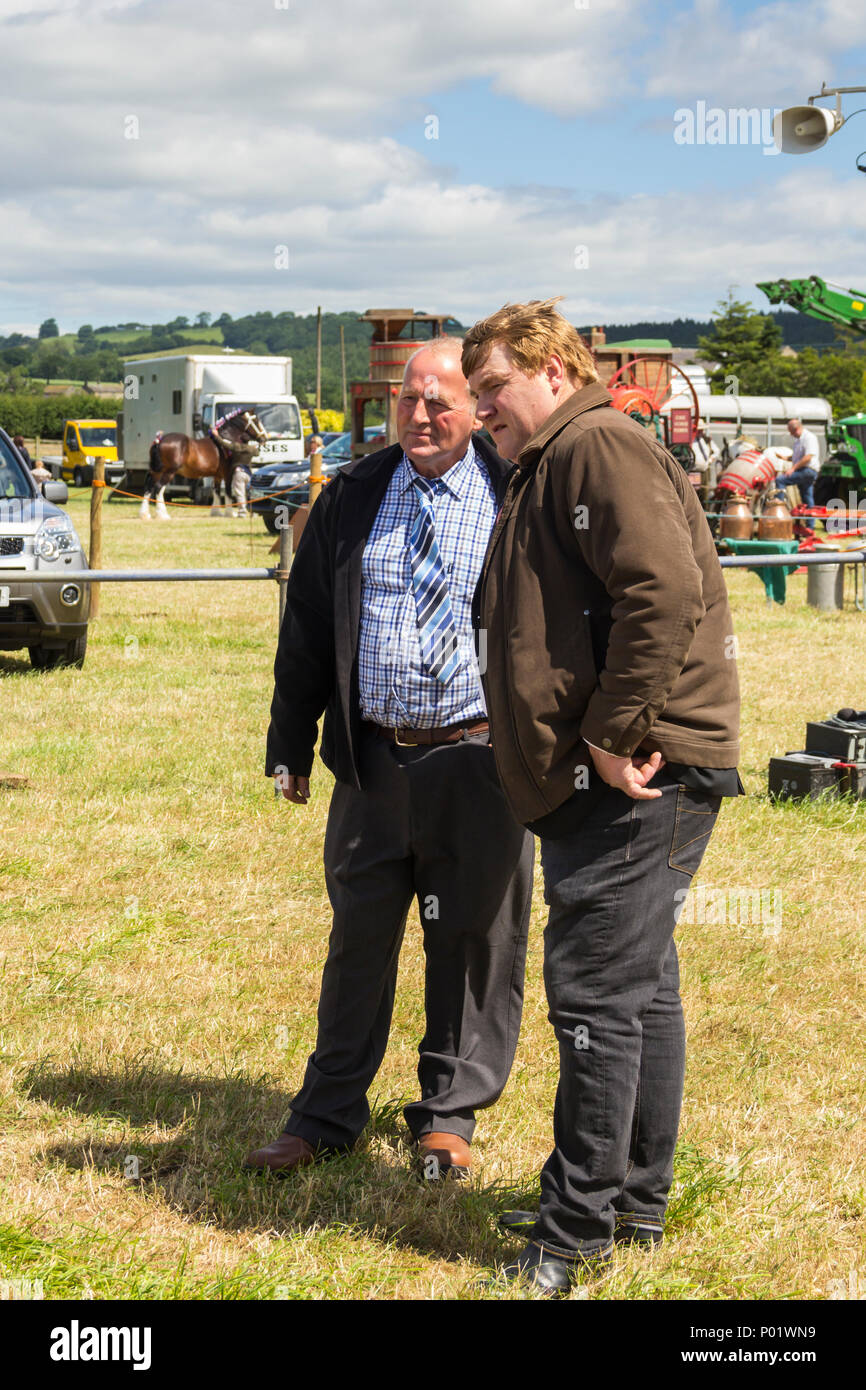 I giudici deliberano sulla fondatezza delle vacche è entrato in uno dei bovini mostrano le classi al Arthington show, West Yorkshire nel 2017. Foto Stock