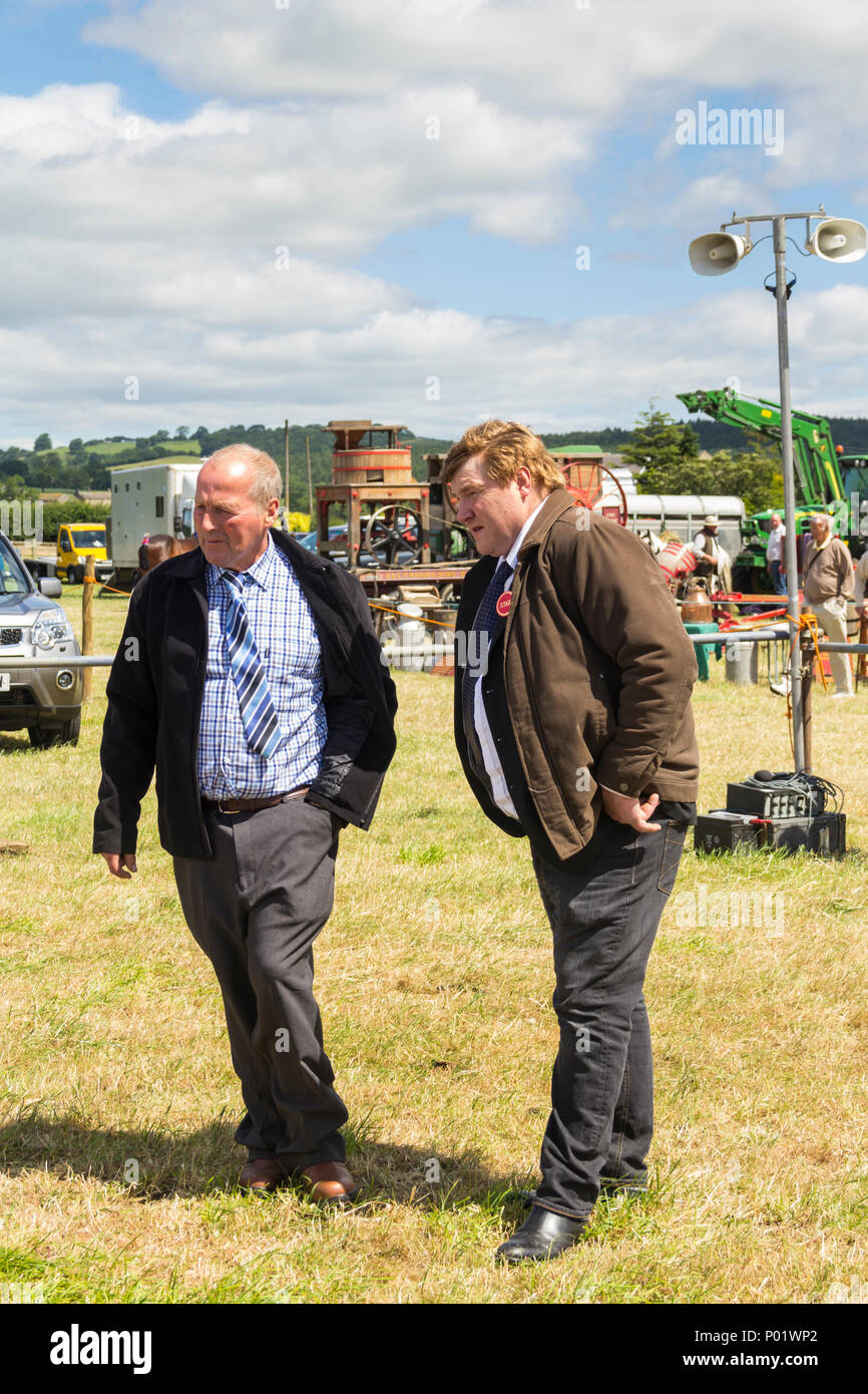 I giudici deliberano sulla fondatezza delle vacche è entrato in uno dei bovini mostrano le classi al Arthington show, West Yorkshire nel 2017. Foto Stock