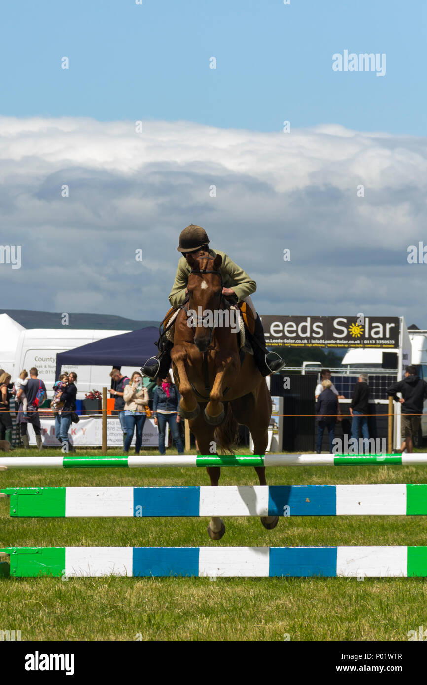 Cavallo e cavaliere in un show jumping concorrenza presso il Arthington show, West Yorkshire nel 2017. Foto Stock