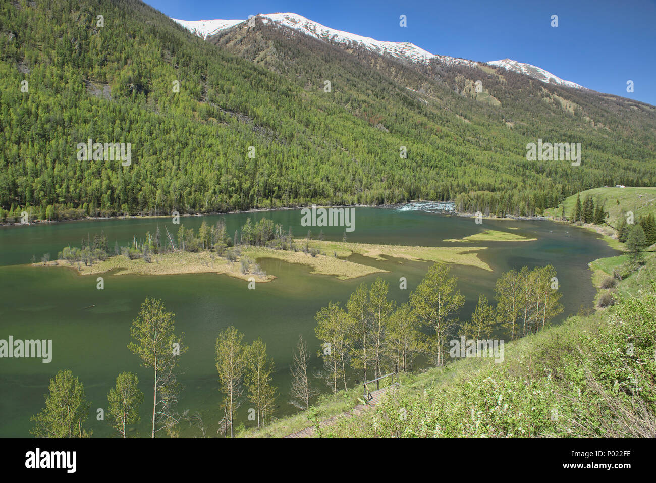 Splendidi paesaggi del nord al Lago Kanas National Park, Xinjiang, Cina Foto Stock