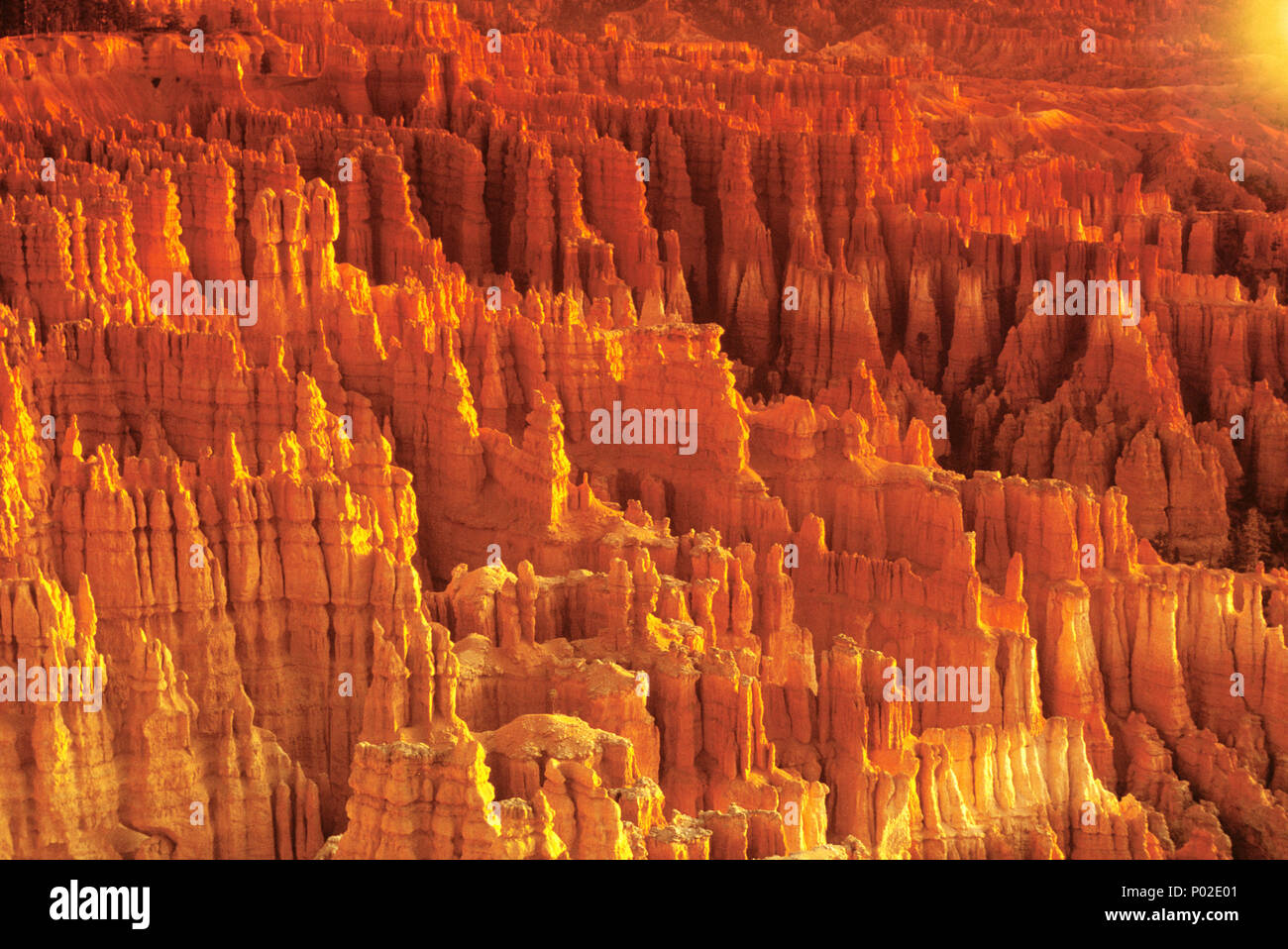 1992 storico monoliti HOODOOS città silenziosa Bryce Canyon National Park nello Utah Stati Uniti d'America Foto Stock
