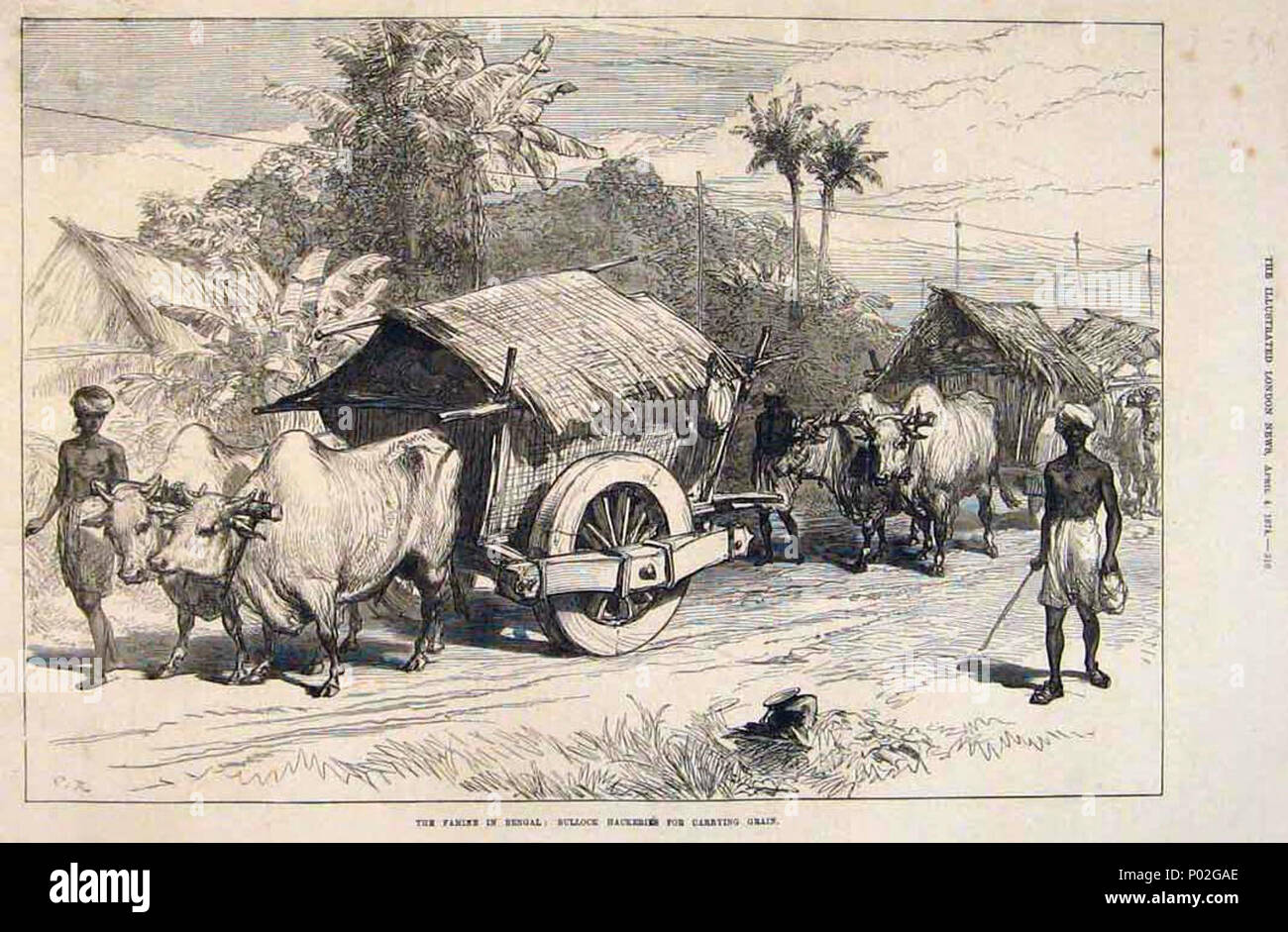 La carestia nel Bengala- Hackeries giovenco per il trasporto di cereali, dall'Illustrated London News, 1874 Foto Stock