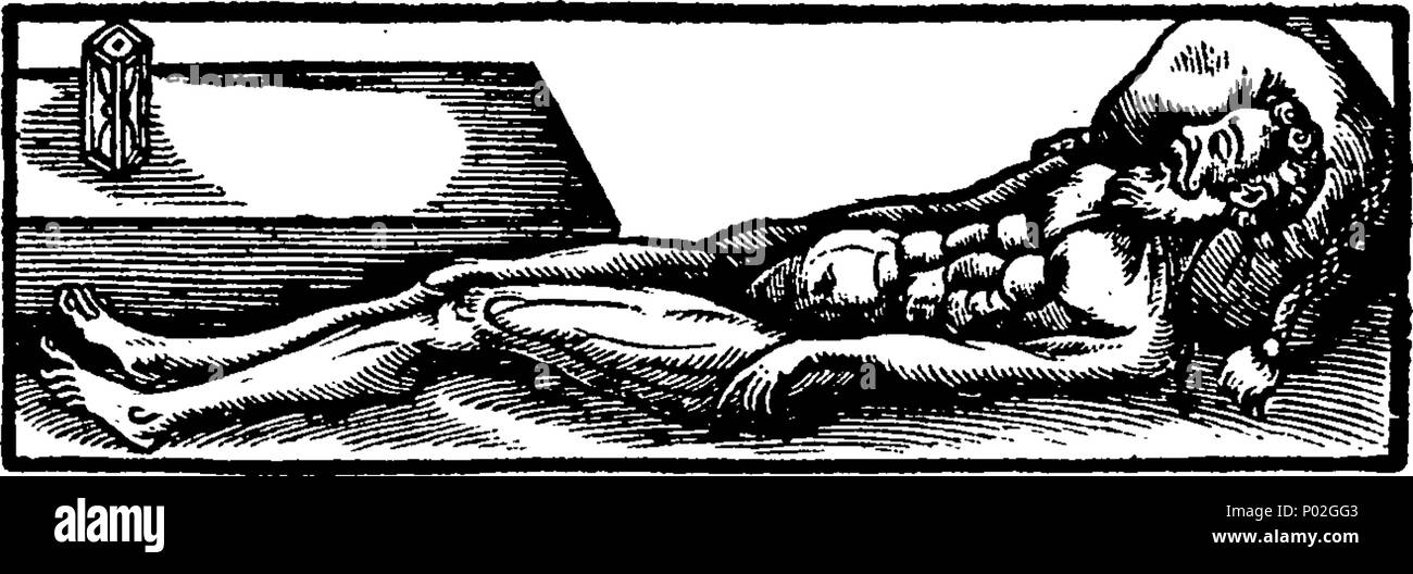 . Inglese: Fleuron dal libro: un catalogo di tutte le rarità cheifest nel publick anatomie-hall, dell'Università di Leida, da Francesco Schuyl. ... 30 Un catalogo di tutte le rarità cheifest nel publick anatomie-hall, dell'Università di Leida, da Francesco Schuyl Fleuron T105990-1 Foto Stock