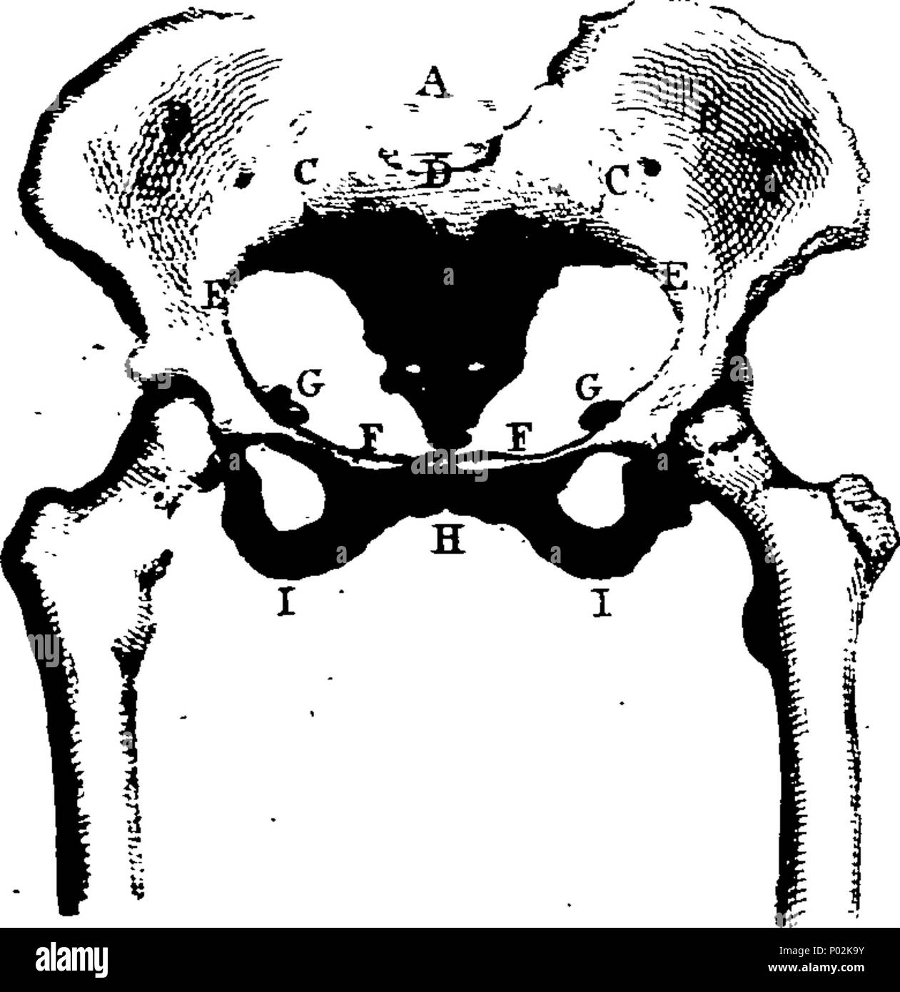 . Inglese: Fleuron dal libro: una raccolta di incisioni, progettato per facilitare lo studio di ostetricia, ha spiegato ed illustrato. Da James Hamilton, Junior, M.D. Fellow della Royal College of Physicians di Edinburgo. 41 Una raccolta di incisioni, progettato per facilitare lo studio di ostetricia, ha spiegato ed illustrato Fleuron N014799-1 Foto Stock