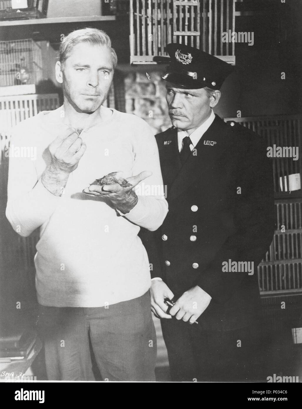 Pellicola originale titolo: Birdman of Alcatraz. Titolo inglese: Birdman of Alcatraz. Regista: John Frankenheimer. Anno: 1962. Stelle: NEVILLE MARCA; BURT LANCASTER. Credito: United Artists / Album Foto Stock