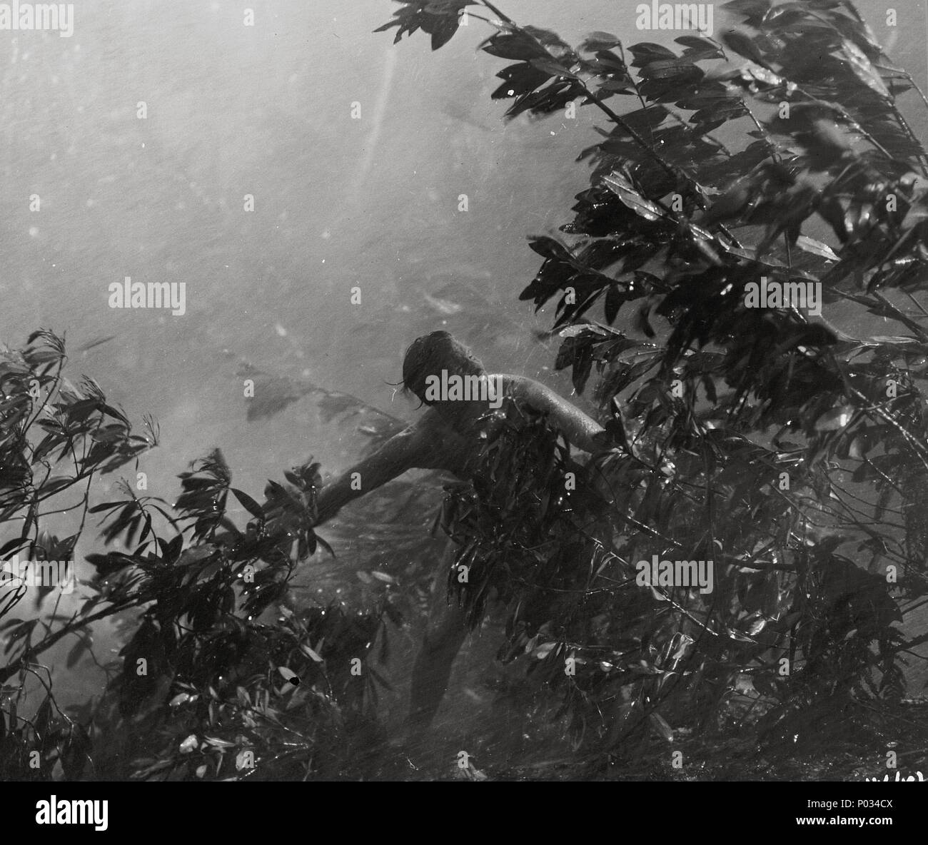 Pellicola originale titolo: laguna blu. Titolo italiano: la laguna blu. Regista: Frank Launder. Anno: 1949. Credito: RANK / Album Foto Stock