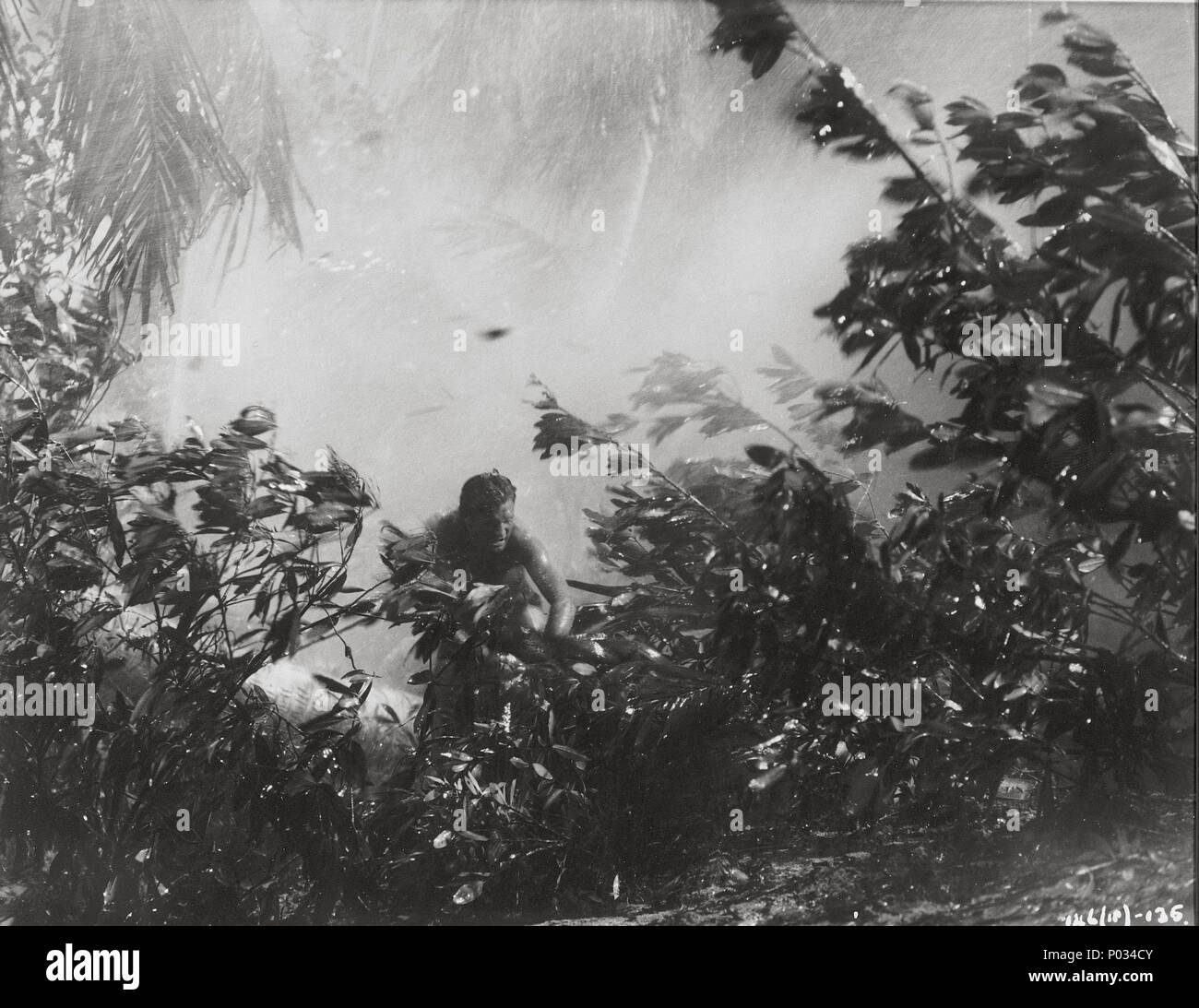 Pellicola originale titolo: laguna blu. Titolo italiano: la laguna blu. Regista: Frank Launder. Anno: 1949. Credito: RANK / Album Foto Stock