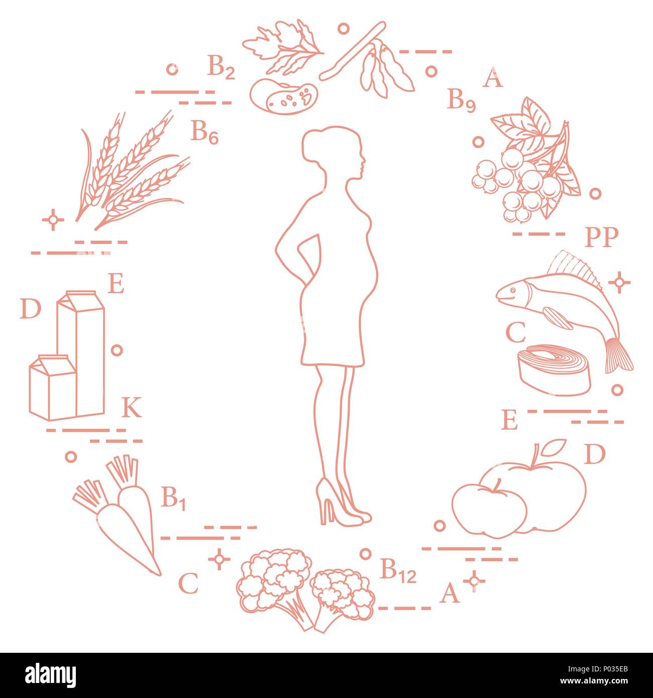 Donna incinta e di cibi ricchi di vitamine utili per le donne in gravidanza. Pesci, mele, cavolfiore, carote, prodotti lattiero-caseari, il ribes nero, soia, siamo Illustrazione Vettoriale