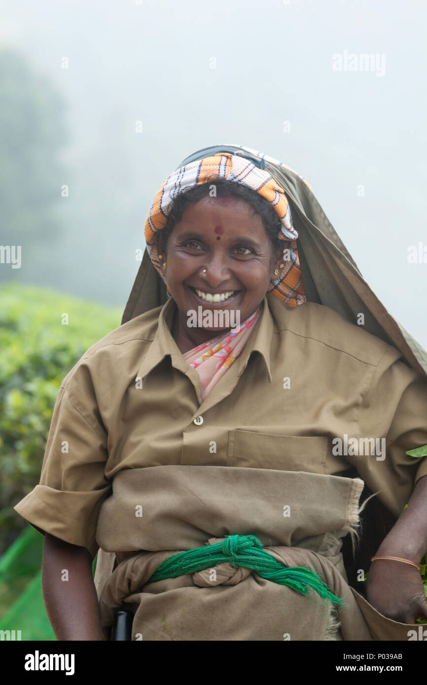 Femmina lavoratore del tè Il tè Kolukkumalai station wagon, Munnar Kerala, India. Foto Stock