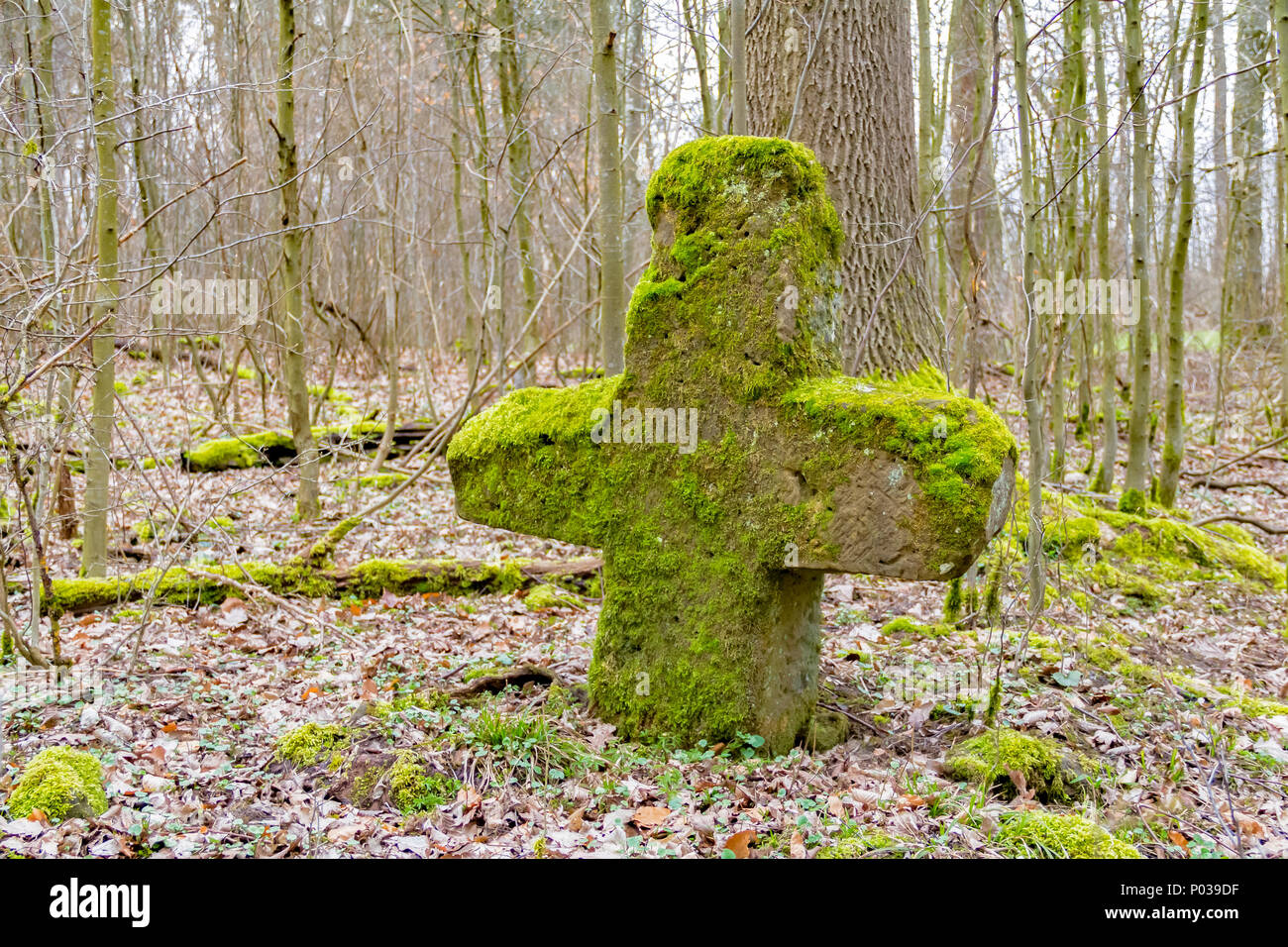 Scenario della foresta compresa una ricoperta di muschio croce di pietra a inizio primavera tempo Foto Stock