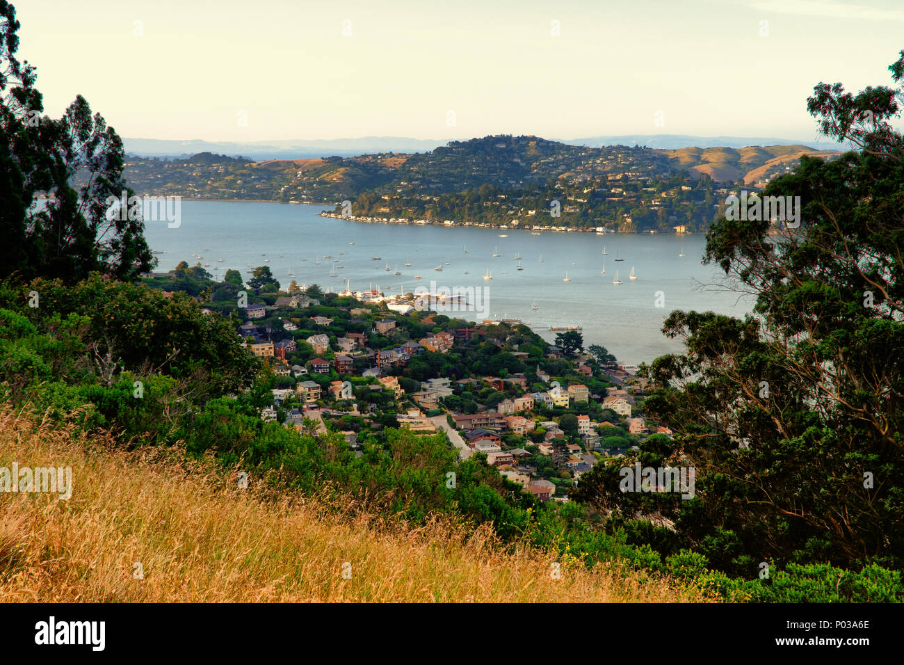 Promontorio della Golden Gate National Recreation Area, il Presidio di San Francisco, California, Stati Uniti d'America Foto Stock