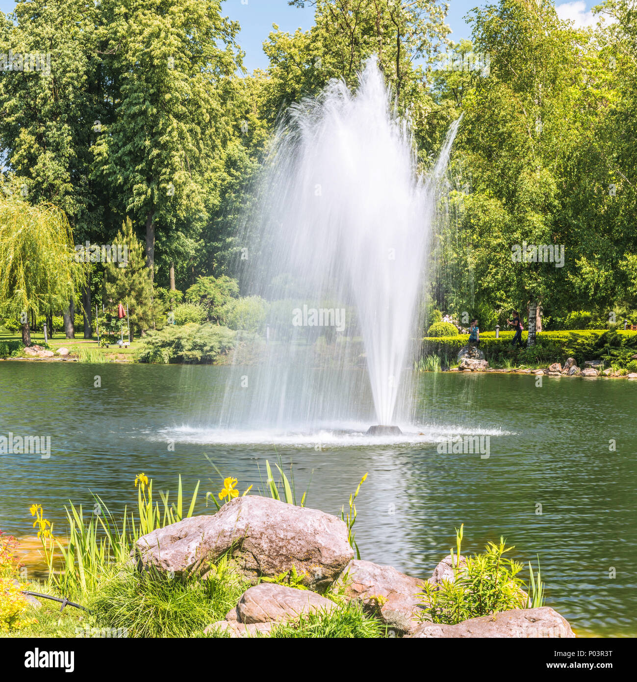 Frammento del parco in Mezhigiri vicino a Kiev. Una piccola fontana sul lago. Foto Stock