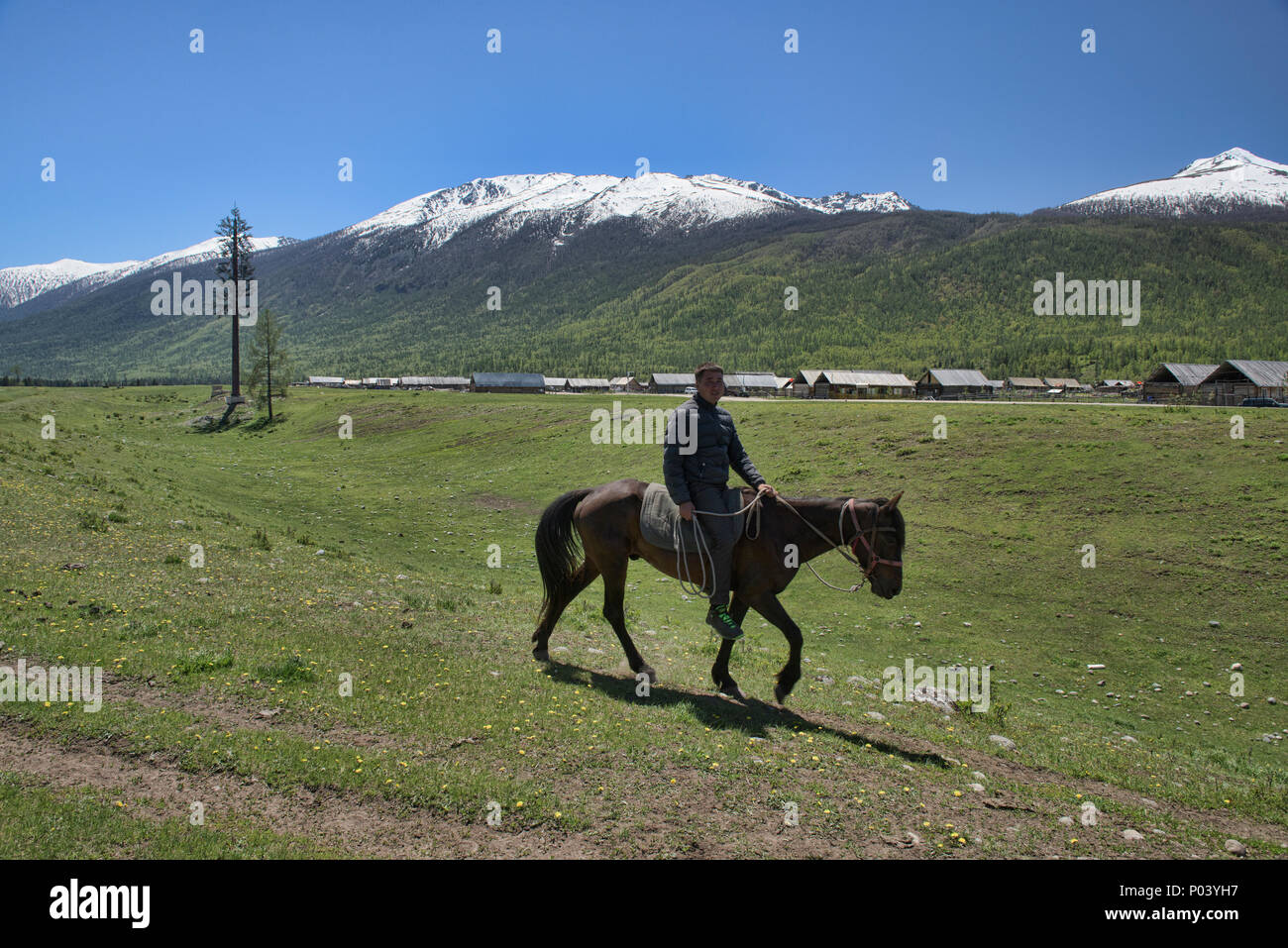 Il kazako horseman a Kanas Lake National Park, Xinjiang, Cina Foto Stock