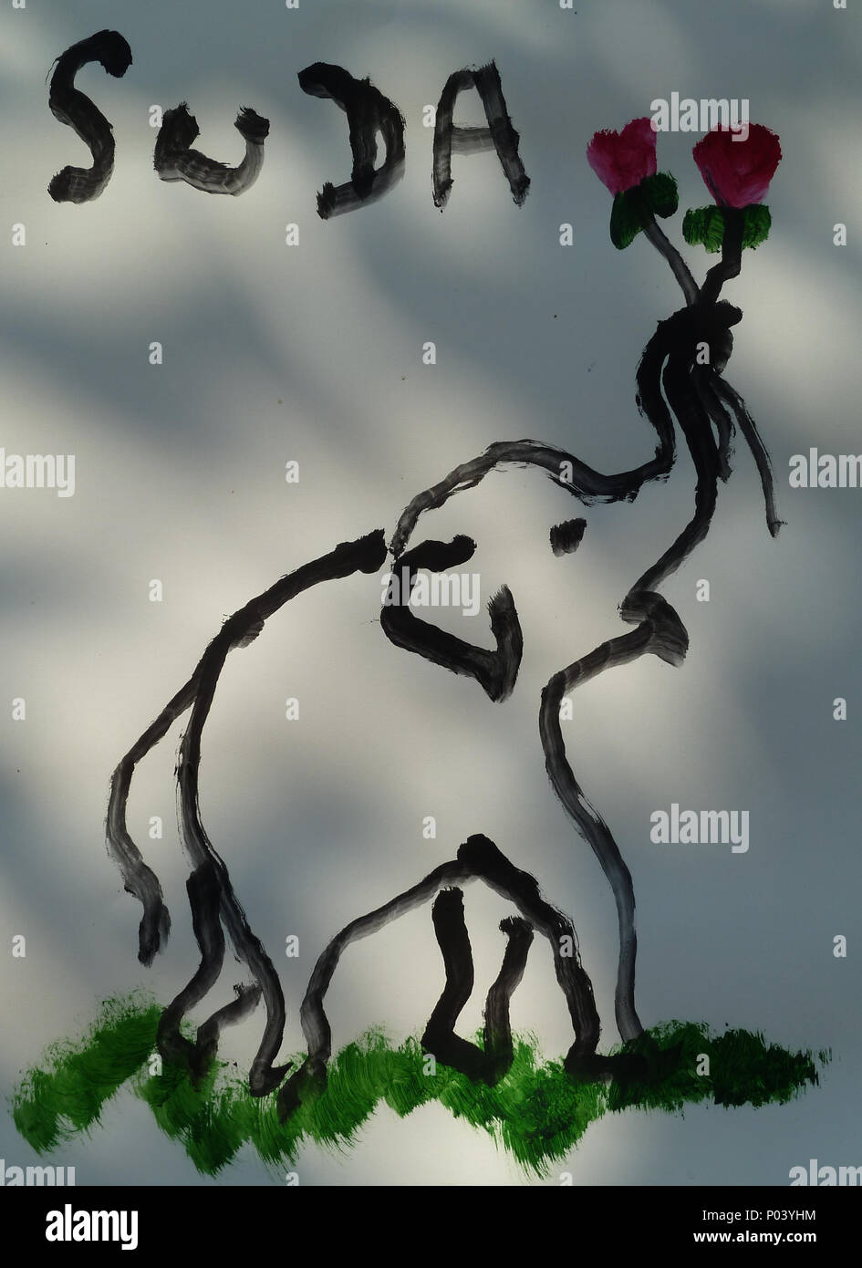 . Il 15 febbraio 2012, 10:00:52. Deror Avi 1 Elephant mostrano in Chiang Mai P1110487 Foto Stock