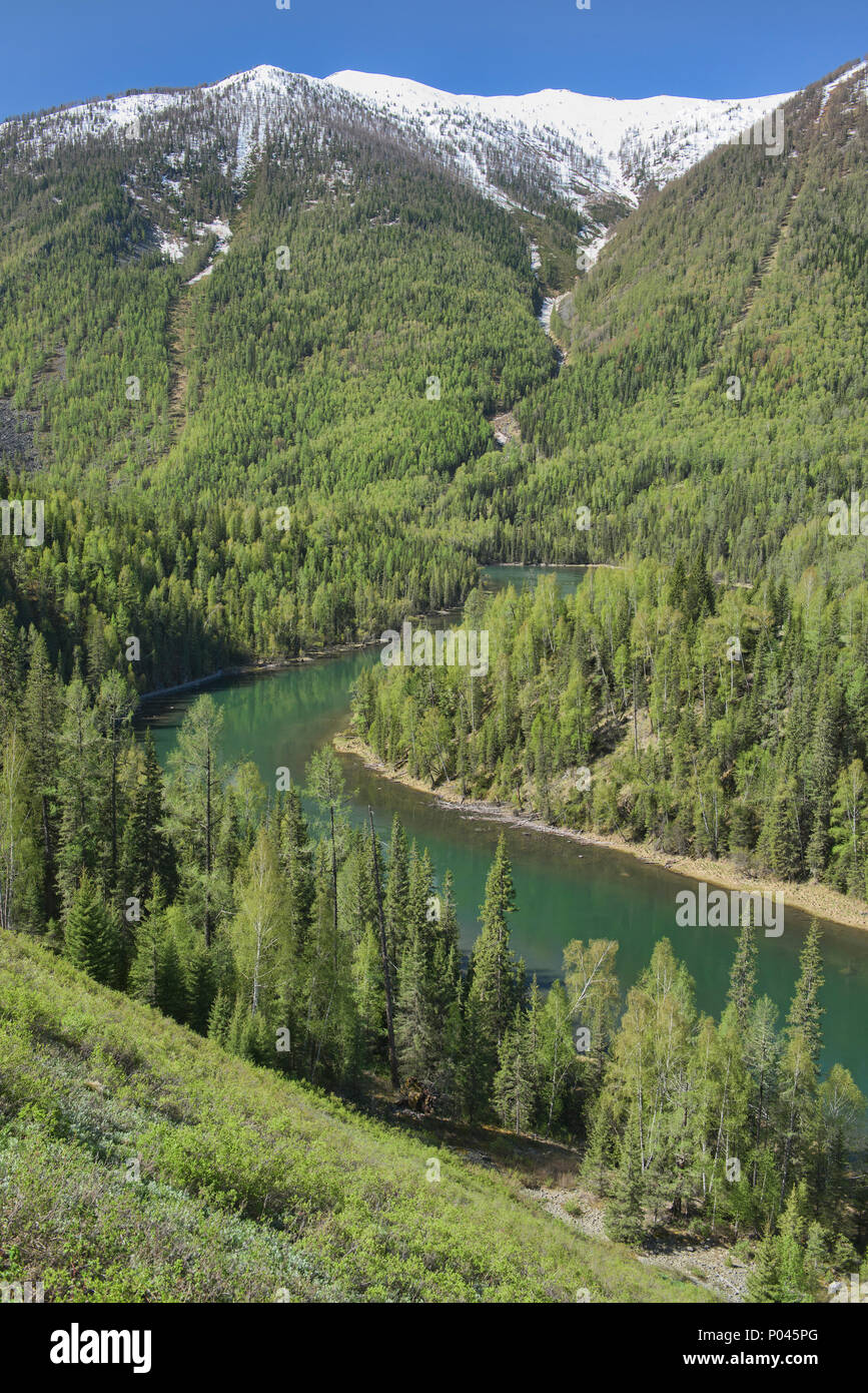 Il grazioso fiume Kanas al Lago Kanas National Park, Xinjiang, Cina Foto Stock