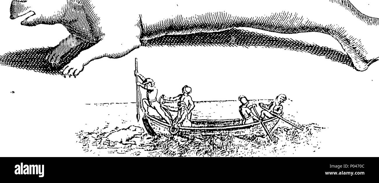 . Inglese: Fleuron dal libro: A compleat storia di druggs, scritto in francese da Monsieur Pomet, Chief speziale al fine del re francese Lewis XIV. A cui si aggiunge quello che è osservabile inoltre sullo stesso argomento, dal disordine. Lemery e Tournefort, divisi in tre classi, vegetale, animale e minerale; con il loro uso in Physick, Chymistry, farmacia, e molte altre Arti. Illustrato con sopra quattro cento rame cutts, curiosamente fatto dalla vita; e una spiegazione dei loro diversi nomi, luoghi di crescita, e paesi da dove essi vengono portati; il modo di conoscere il vero dal F Foto Stock