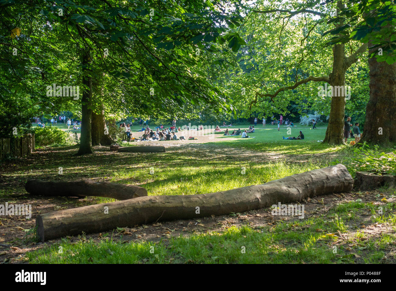 Una vista di Holland Park a Londra, Regno Unito Foto Stock