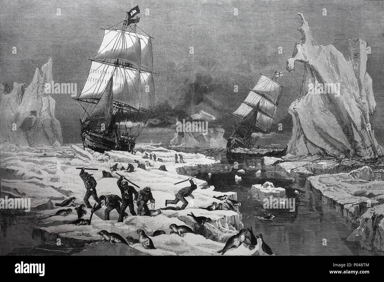 La caccia alle foche al largo di Terranova, ghiaccio, digitale migliorata la riproduzione di un originale stampa da l'anno 1881 Foto Stock