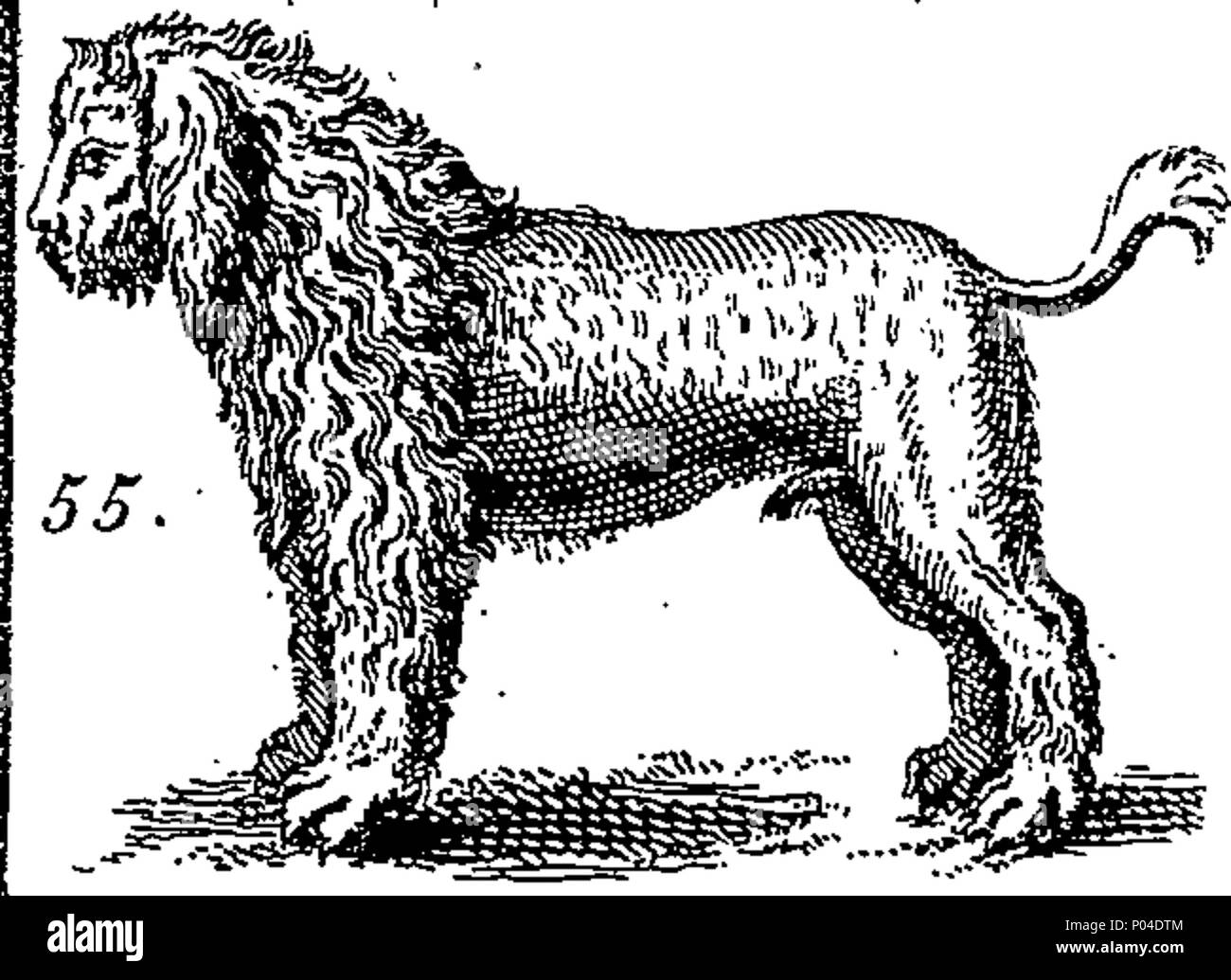 . Inglese: Fleuron dal libro: una descrizione di tre centinaia di animali, vale a dire animali, uccelli, pesci, serpe[nt]s, [un]d[s]ts. Con un conto in particolare delle loro modalità di cattura di balene in Groenlandia. Estratto dai migliori autori, adattato all'uso di tutte le capacità. Illustrato con piastre di rame, sul quale è curiosamente engraven ogni Beast-Bird, pesce, Serpent e insetti, describ'd in tutto il libro. 87 Una descrizione di tre centinaia di animali, viz Fleuron n023359-41 Foto Stock