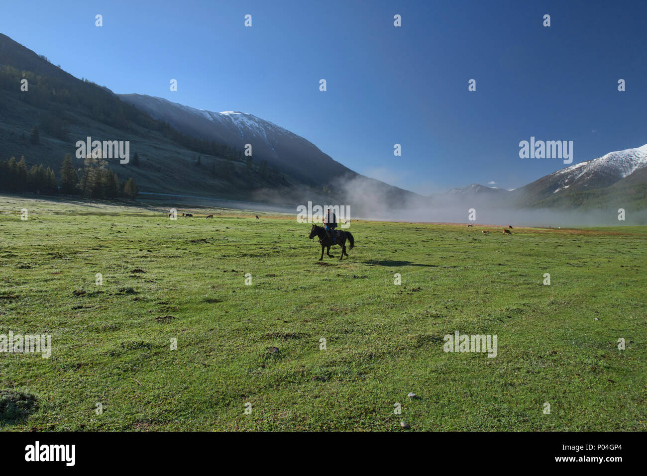Il kazako horseman a Kanas Lake National Park, Xinjiang, Cina Foto Stock