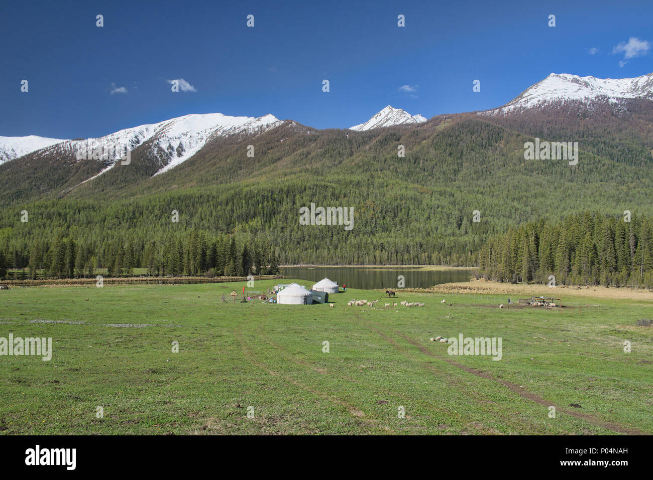 Home sulla gamma; yurta al Lago Kanas National Park, Xinjiang, Cina Foto Stock