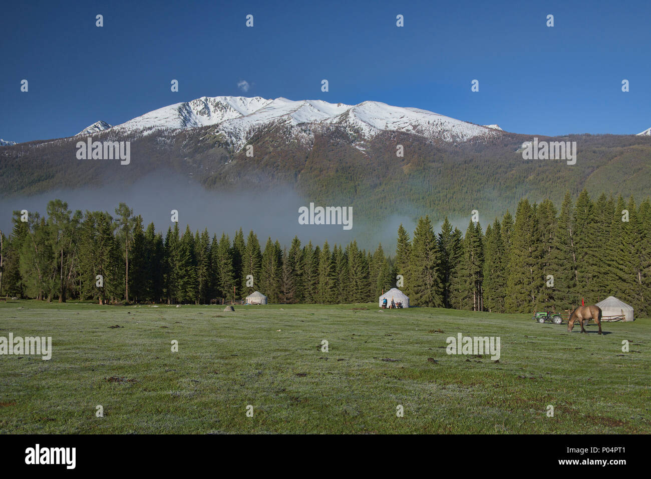 Home sulla gamma; yurta al Lago Kanas National Park, Xinjiang, Cina Foto Stock