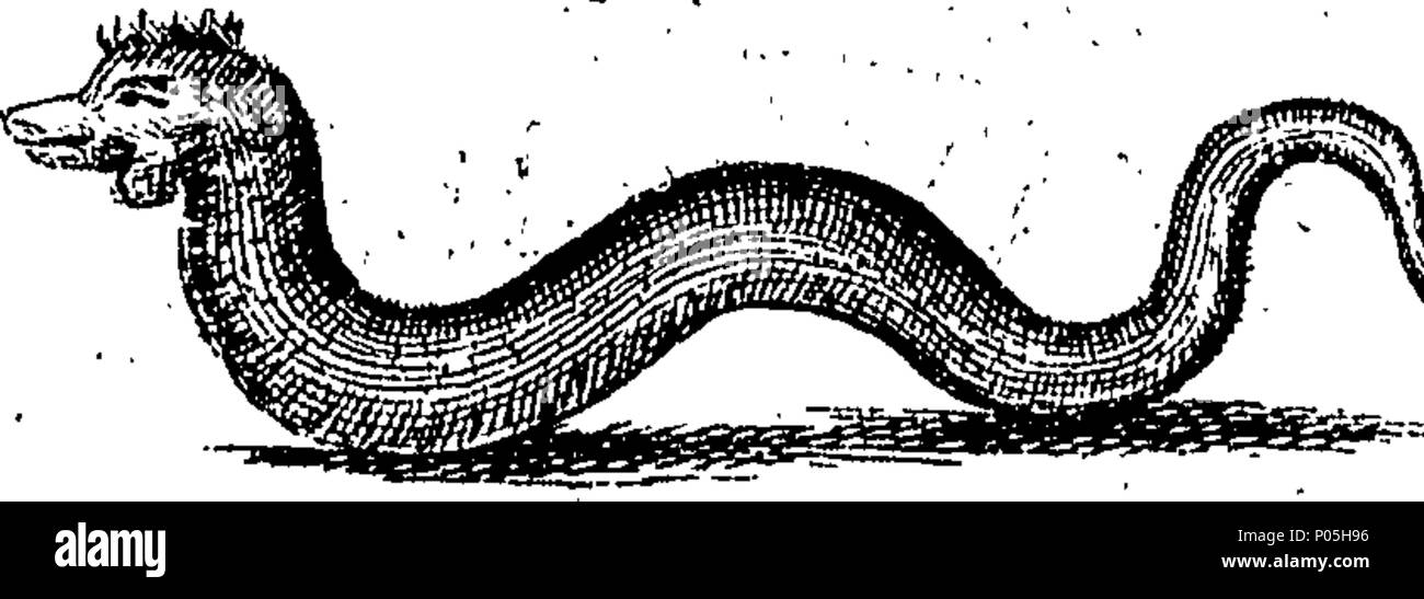 . Inglese: Fleuron dal libro: una descrizione di tre centinaia di animali, vale a dire animali, uccelli, pesci, serpenti e insetti. Con un conto in particolare delle loro modalità di cattura di balene in Groenlandia. Estratto dai migliori autori e adattato per l'uso di tutte le capacità. Illustrato con piastre di rame, sul quale è curiosamente engraven ogni bestia, uccelli, pesci, Serpent e insetti, descritto in tutto il libro. 88 Una descrizione di tre centinaia di animali, viz Fleuron T153854-49 Foto Stock