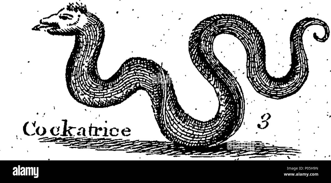 . Inglese: Fleuron dal libro: una descrizione di tre centinaia di animali, vale a dire animali, uccelli, pesci, serpenti e insetti. Con un conto in particolare delle loro modalità di cattura di balene in Groenlandia. Estratto dai migliori autori e adattato per l'uso di tutte le capacità. Illustrato con piastre di rame, sul quale è curiosamente engraven ogni bestia, uccelli, pesci, Serpent e insetti, descritto in tutto il libro. 88 Una descrizione di tre centinaia di animali, viz Fleuron T153854-52 Foto Stock