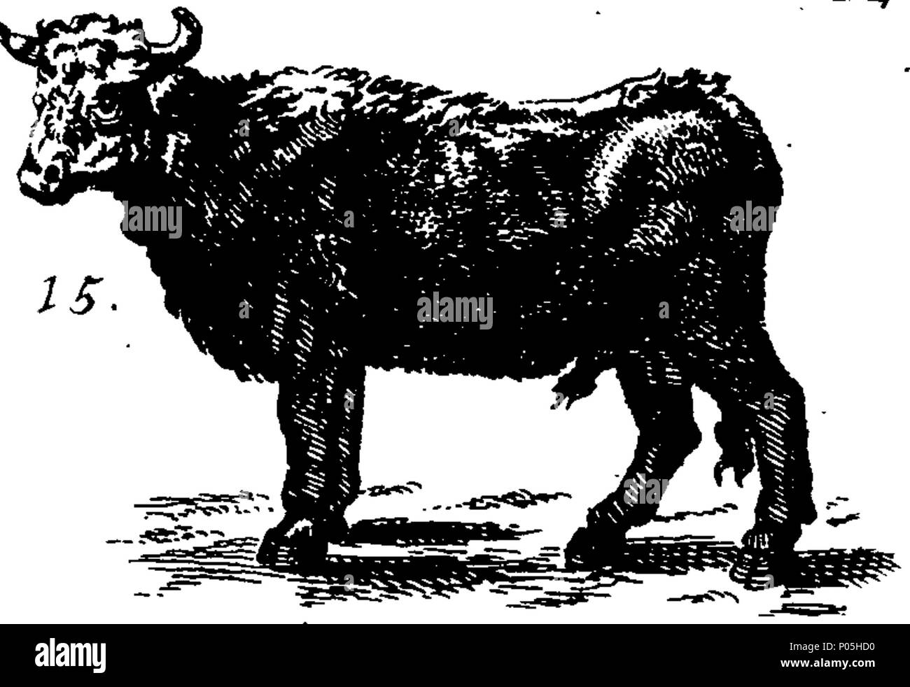 . Inglese: Fleuron dal libro: una descrizione di trecento animali; vale a dire le bestie, uccelli, pesci, serpenti e insetti. Con un conto in particolare della balena-pesca. Estratto dei migliori autori e adattato per l'uso di tutte le capacità; soprattutto per attirare i bambini a leggere. Illustrato con piastre di rame, sul quale è incisa curiosamente ogni bestia, uccelli, pesci, Serpent e insetti, describ'd in tutto il libro. 88 Una descrizione di trecento animali; viz Fleuron T135789-23 Foto Stock