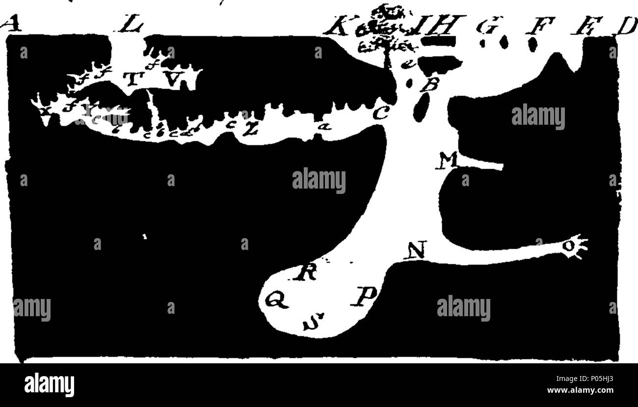 . Inglese: Fleuron dal libro: un account descrittivo di una discesa in Penpark-Hole, nella parrocchia di Westbury-Upon-trim, nella contea di Gloucester, nell'anno 1775, ora pubblicato per la prima volta: a cui viene aggiunto un rame-piastra di incisione che notevole Cavern. Inoltre, i racconti di capitani Sturmey e Collins, contenente le loro descrizioni della stessa, negli anni 1669 e 1682. Da George Symes Catcott. 88 Un account descrittivo di una discesa in Penpark-Hole Fleuron N008559-2 Foto Stock