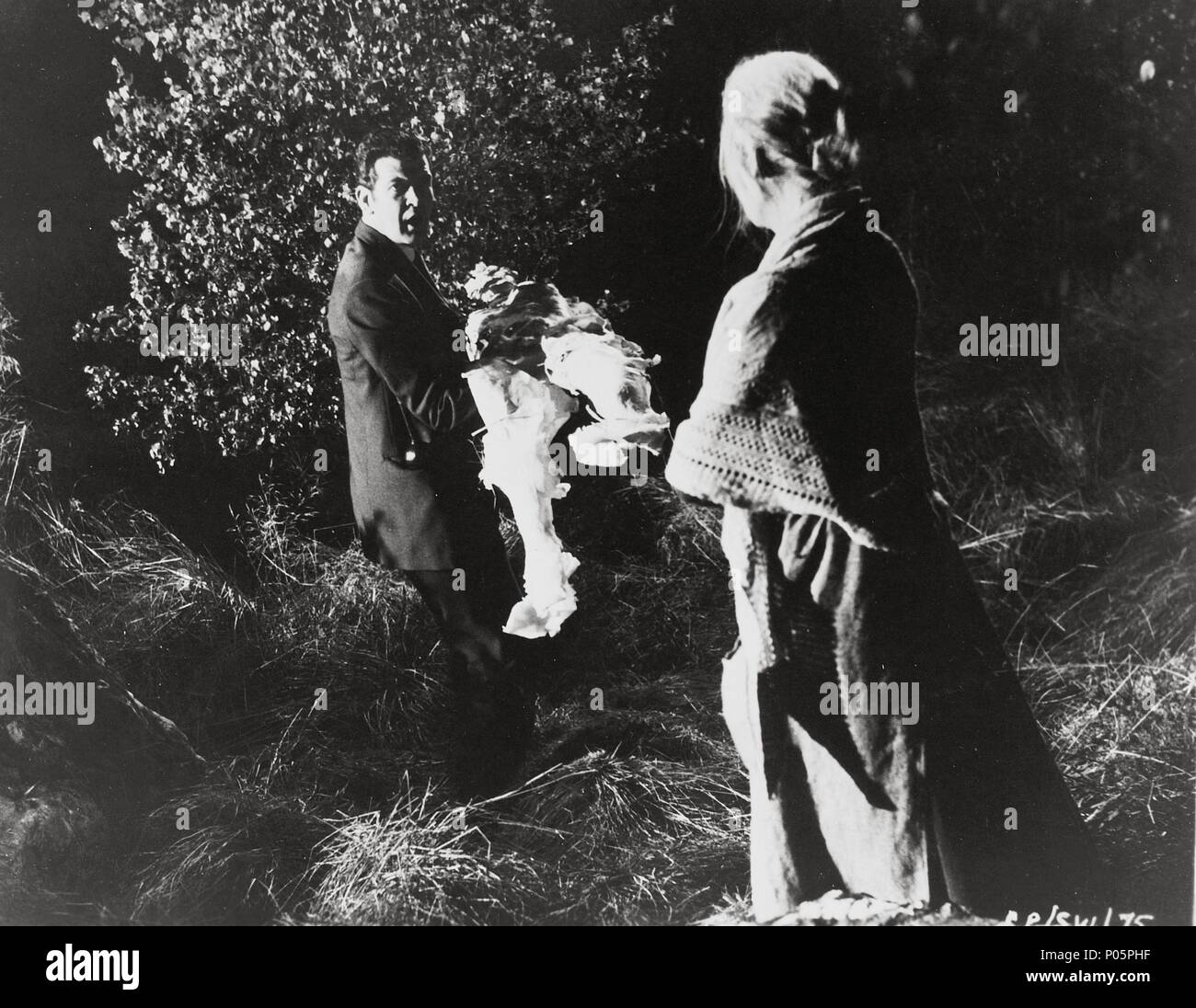 Pellicola originale titolo: Donna Serpente. Titolo inglese: Donna Serpente. Regista: SIDNEY J. FURIE. Anno: 1961. Foto Stock