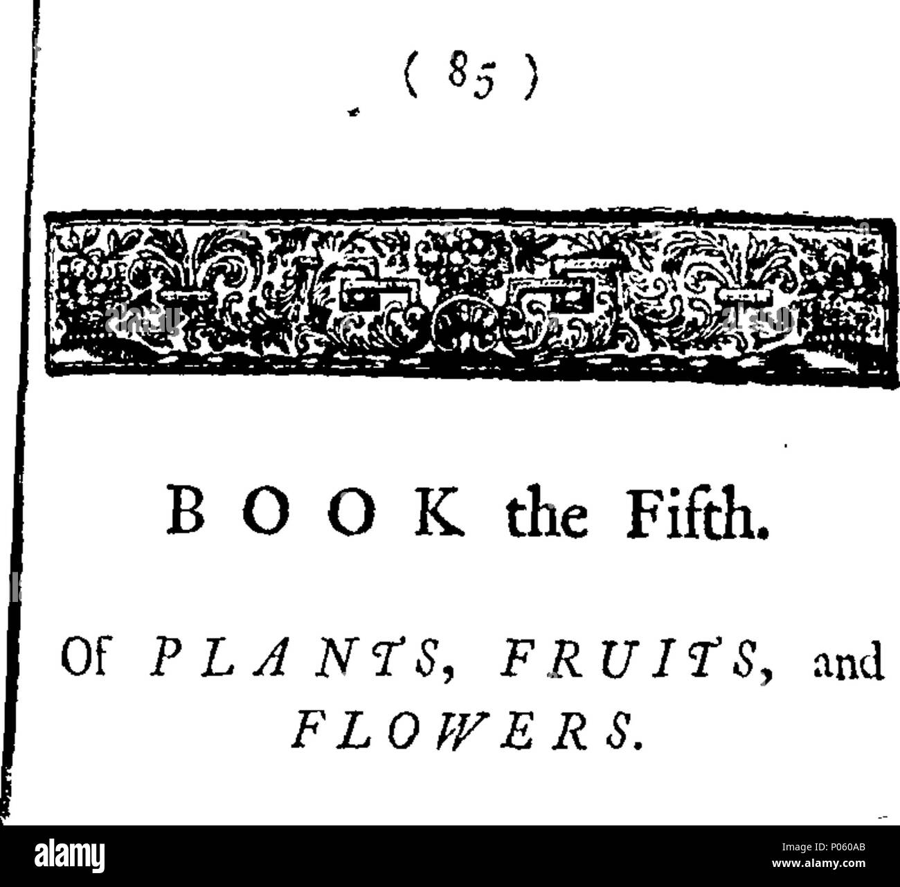 . Inglese: Fleuron dal libro: una descrizione di una grande varietà di specie animali e vegetali; vale a dire le bestie, uccelli, pesci, insetti, piante, frutti e fiori. Estratto da i più notevoli scrittori di storia naturale; e adattato per l'uso di tutte le capacità, ma più in particolare per il divertimento dei giovani. Essendo un supplemento di una descrizione di tre centinaia di animali. Illustrare con sopra una novantina di piastre di rame, sul quale è curiosamente Engraven ogni animale e vegetale descritto in tutto il libro. 82 Una descrizione di una grande varietà di specie animali e vegetali; viz Fleuron T135787-52 Foto Stock