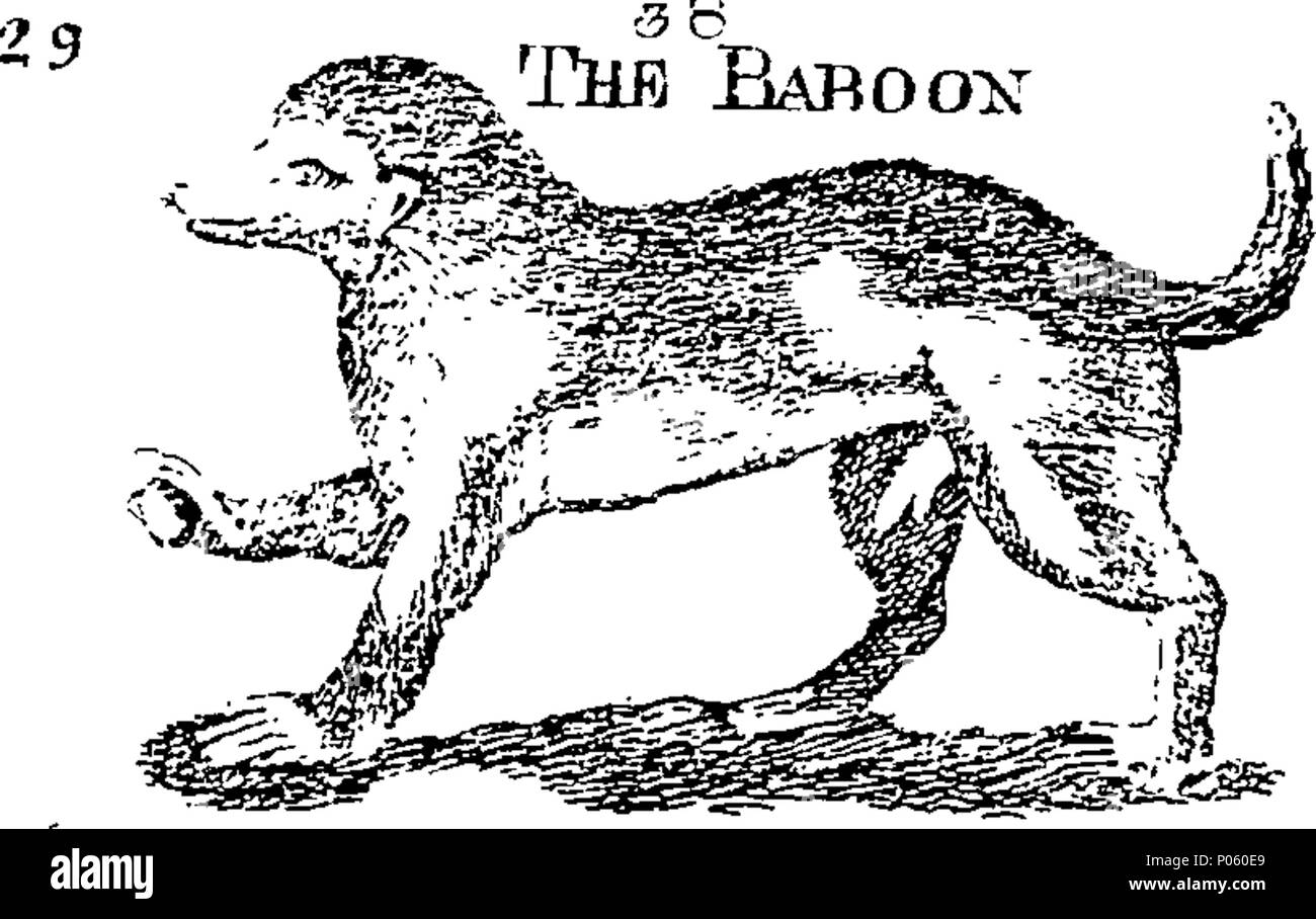 . Inglese: Fleuron dal libro: una descrizione dei tre suddetti centinaia di animali, vale a dire il Bestie, uccelli, pesci, serpenti e insetti. Con un conto in particolare del modo di catturare le balene in Groenlandia. Estratto dai migliori autori e adattato per l'uso di tutte le capacità. Illustrato con rame-piastre su cui è curiosamente Engraven ogni bestia, uccelli, pesci, Serpent e insetti, descritto in tutto il libro. 82 una descrizione dei tre suddetti centinaia di animali, viz Fleuron T119231-29 Foto Stock