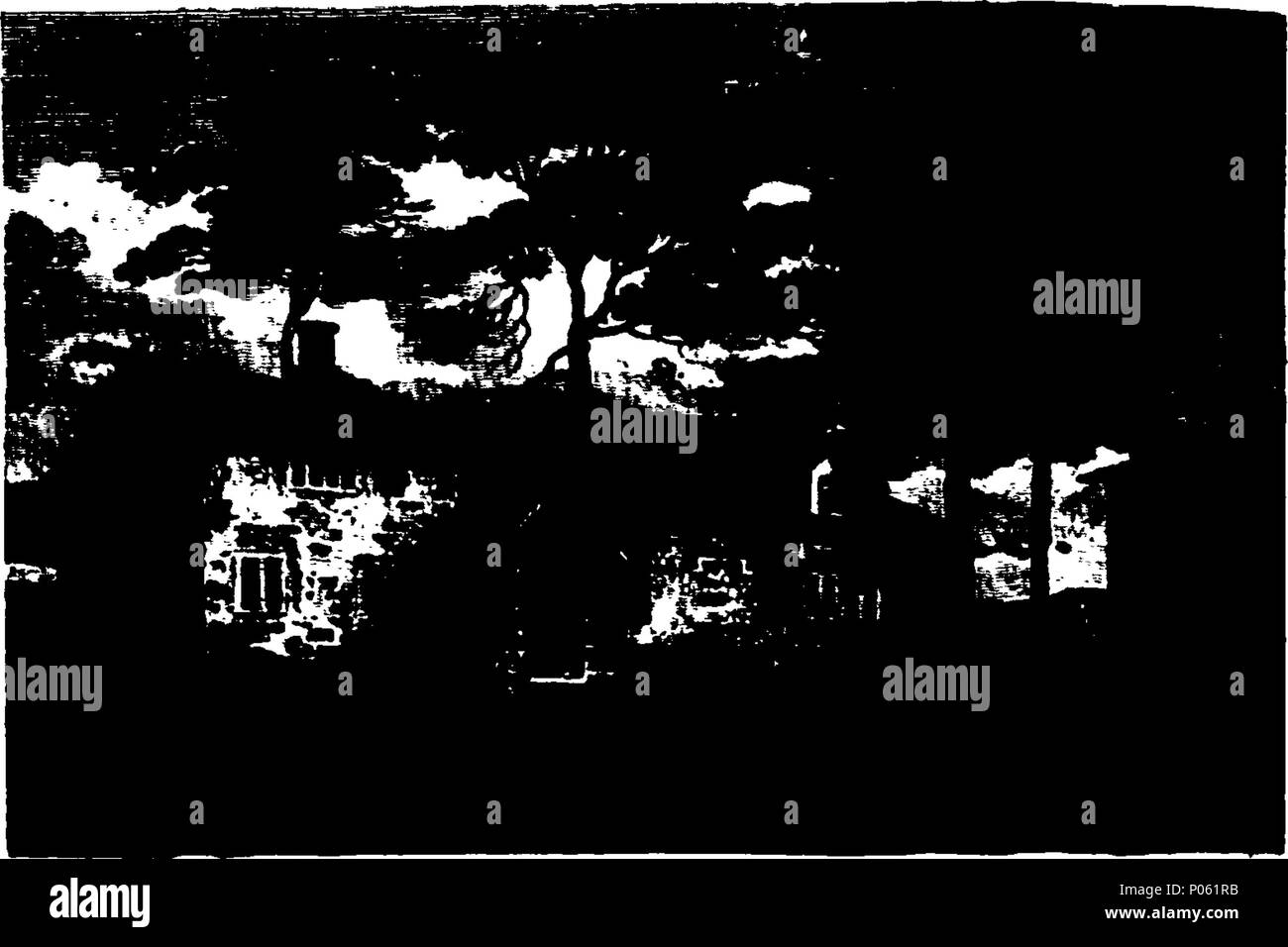 . Inglese: Fleuron dal libro: una descrizione del paese da trenta a quaranta miglia round Manchester; i materiali disposti, e l'opera composta da J. Aikin, M.D. Abbellito e illustrato con settanta-tre piastre. 85 Una descrizione del paese da trenta a quaranta miglia round Manchester; i materiali disposti, e l'opera composta da J Fleuron T085569-40 Foto Stock